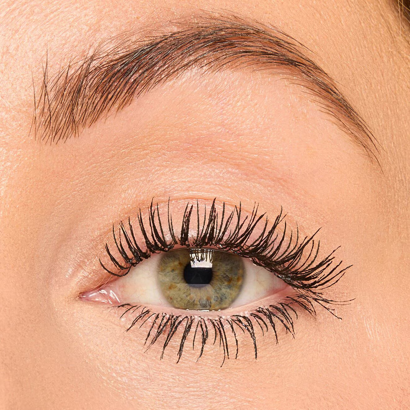 Tartelette™ Tubing Lash Primer