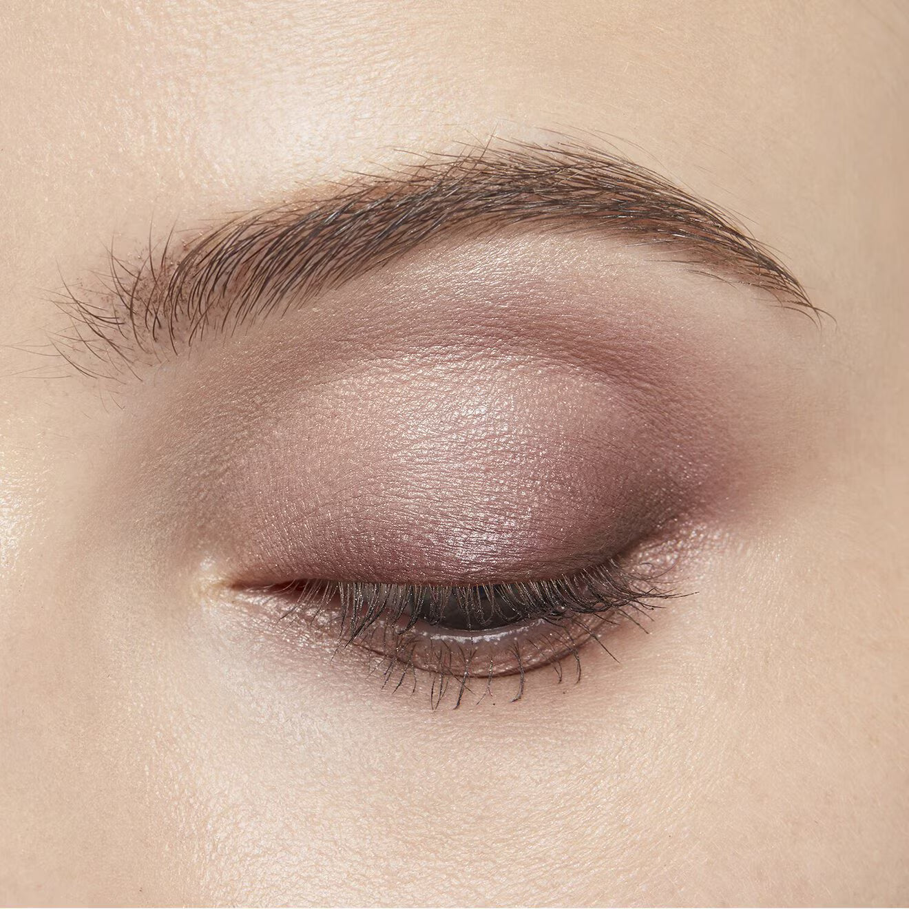 Eye Color Quad
