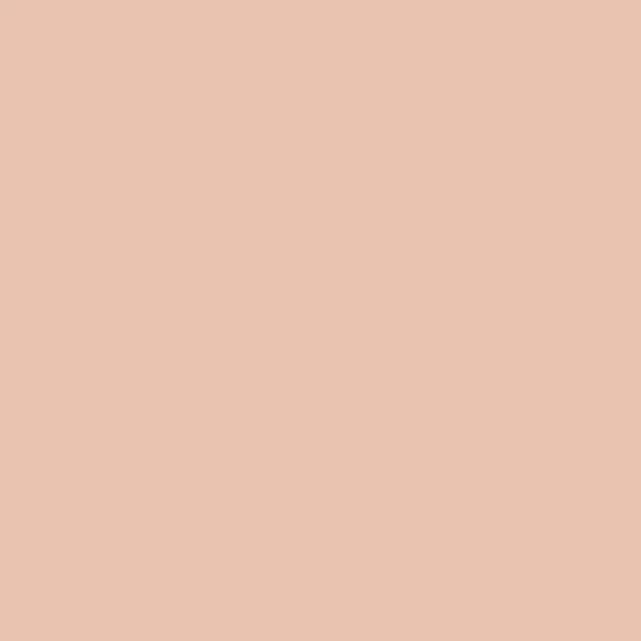 Complexion Rescue Solid Foundation Stick