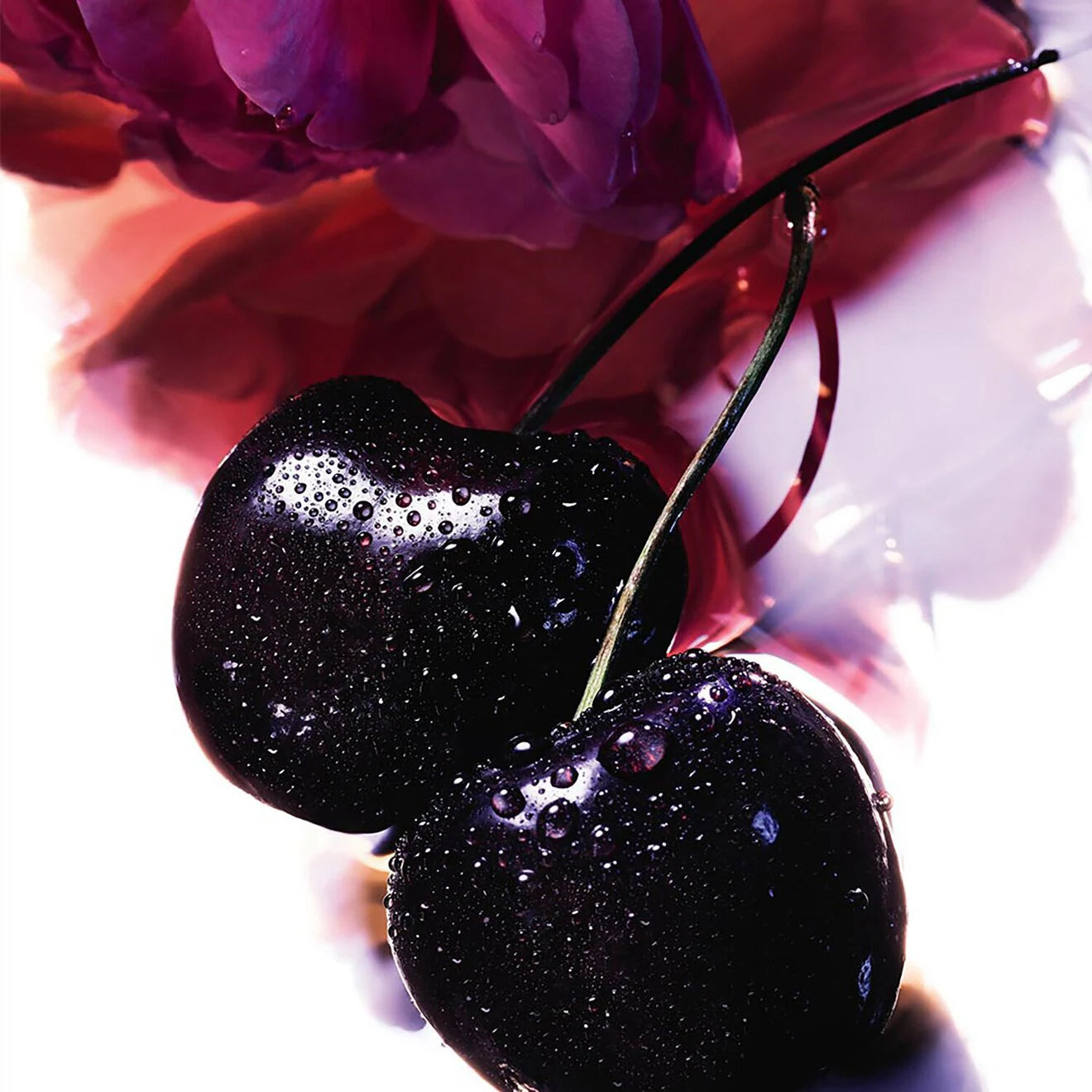 La Petite Robe Noire – Eau de Parfum