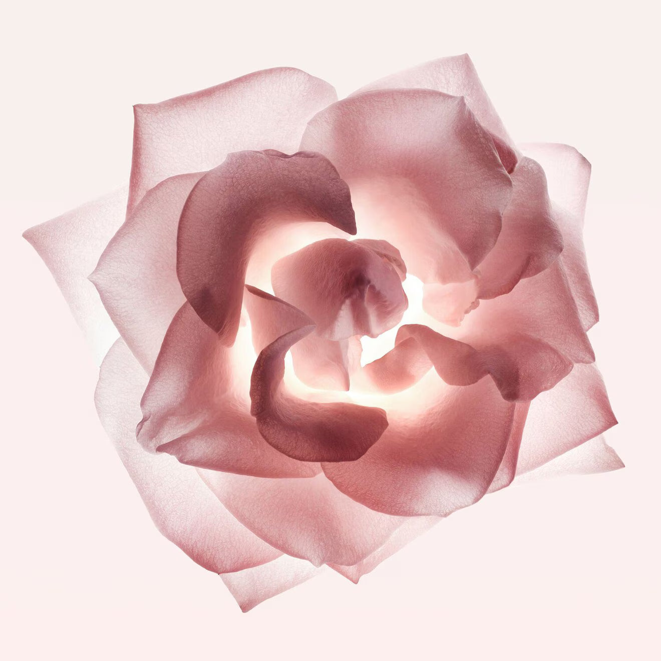 NARCISO eau de parfum Cristal