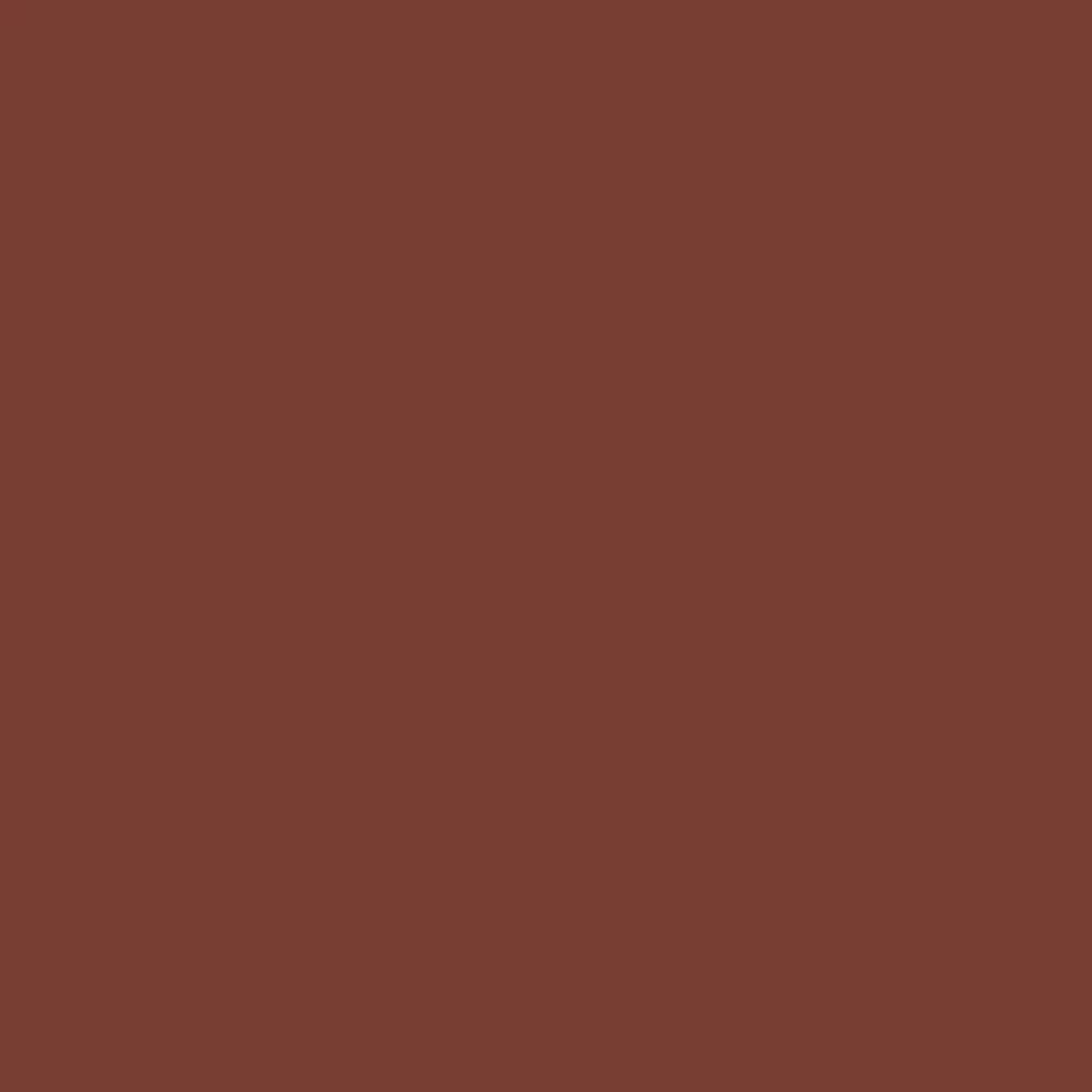 Lip Maestro Velvet Matte Lip Color