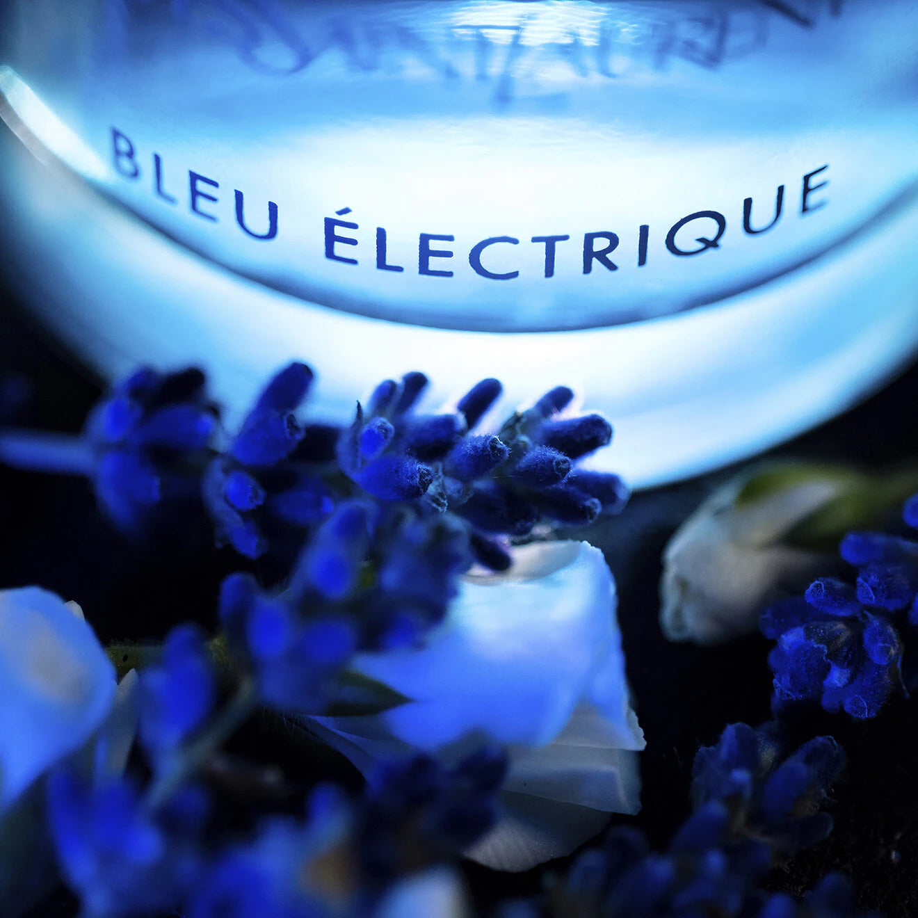 LA NUIT DE L'HOMME BLEU ELECTRIQUE