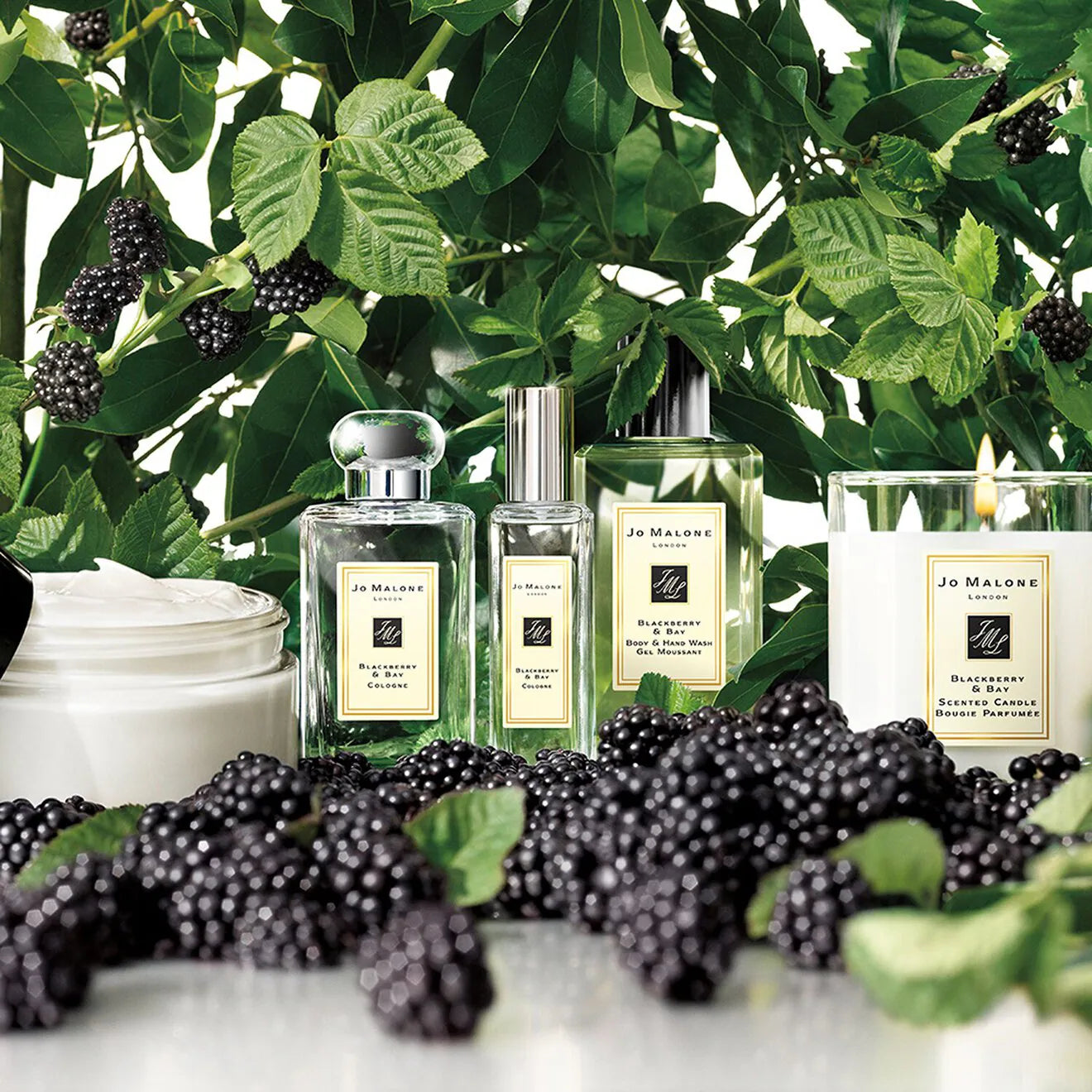 Blackberry & Bay - Eau de Cologne
