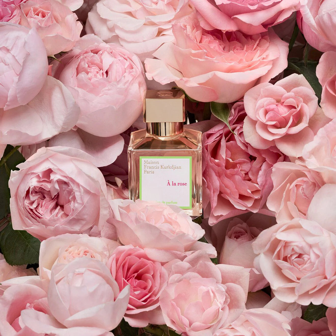 À la rose - Eau de Parfum