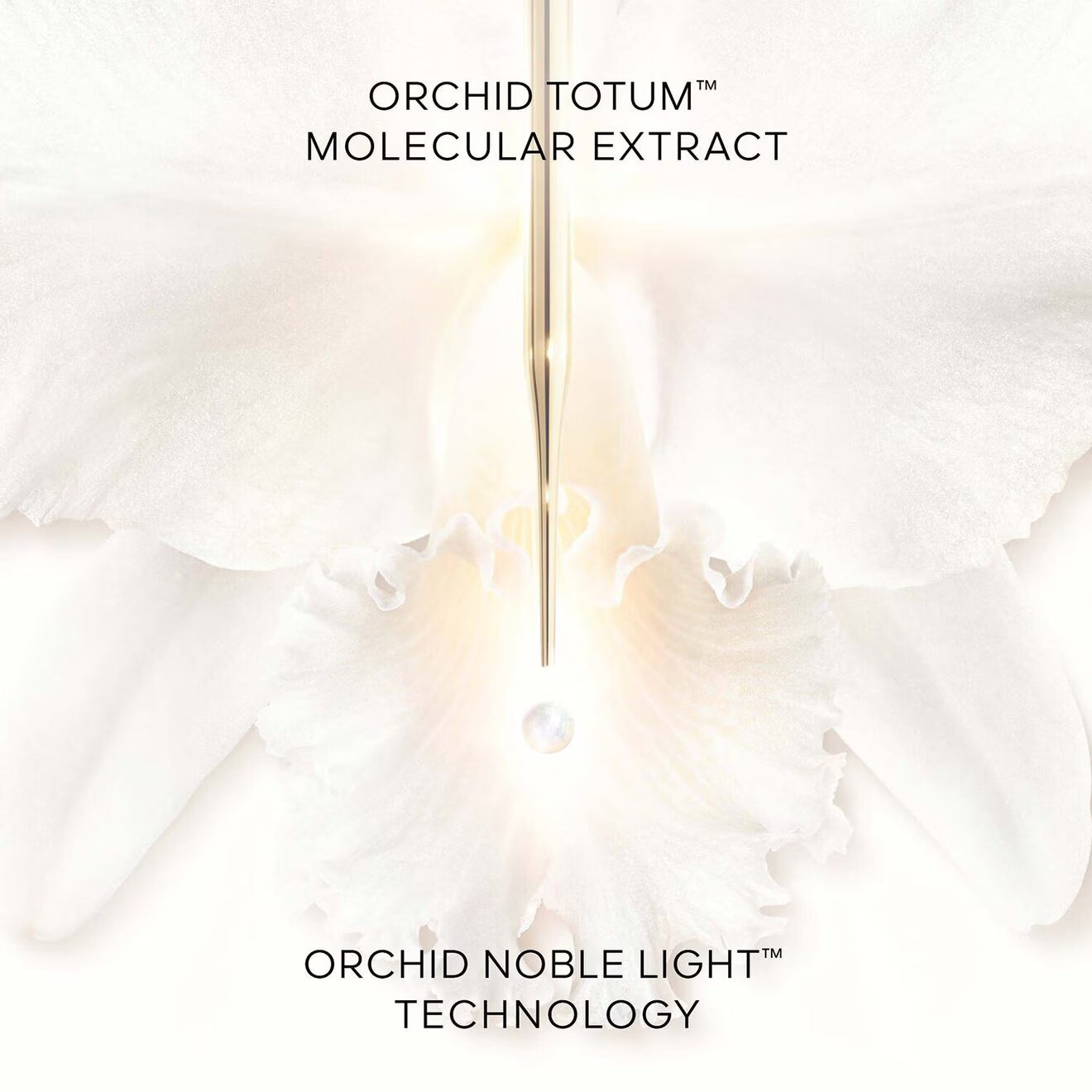 Orchidée Impériale Brightening