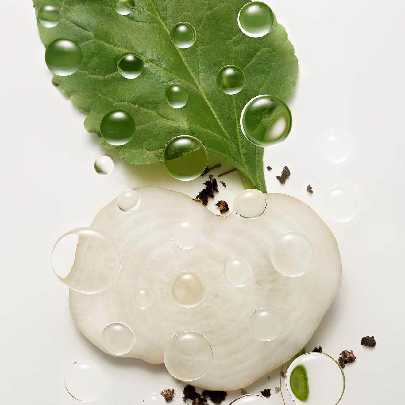 Botanical Repair Bond Building Flash Treatment