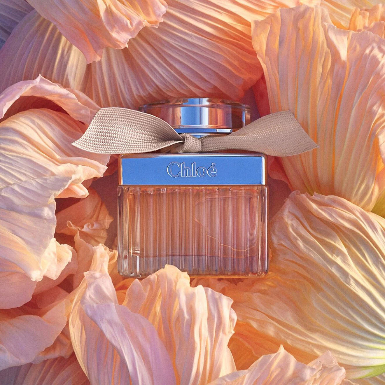 Signature - Eau de Parfum