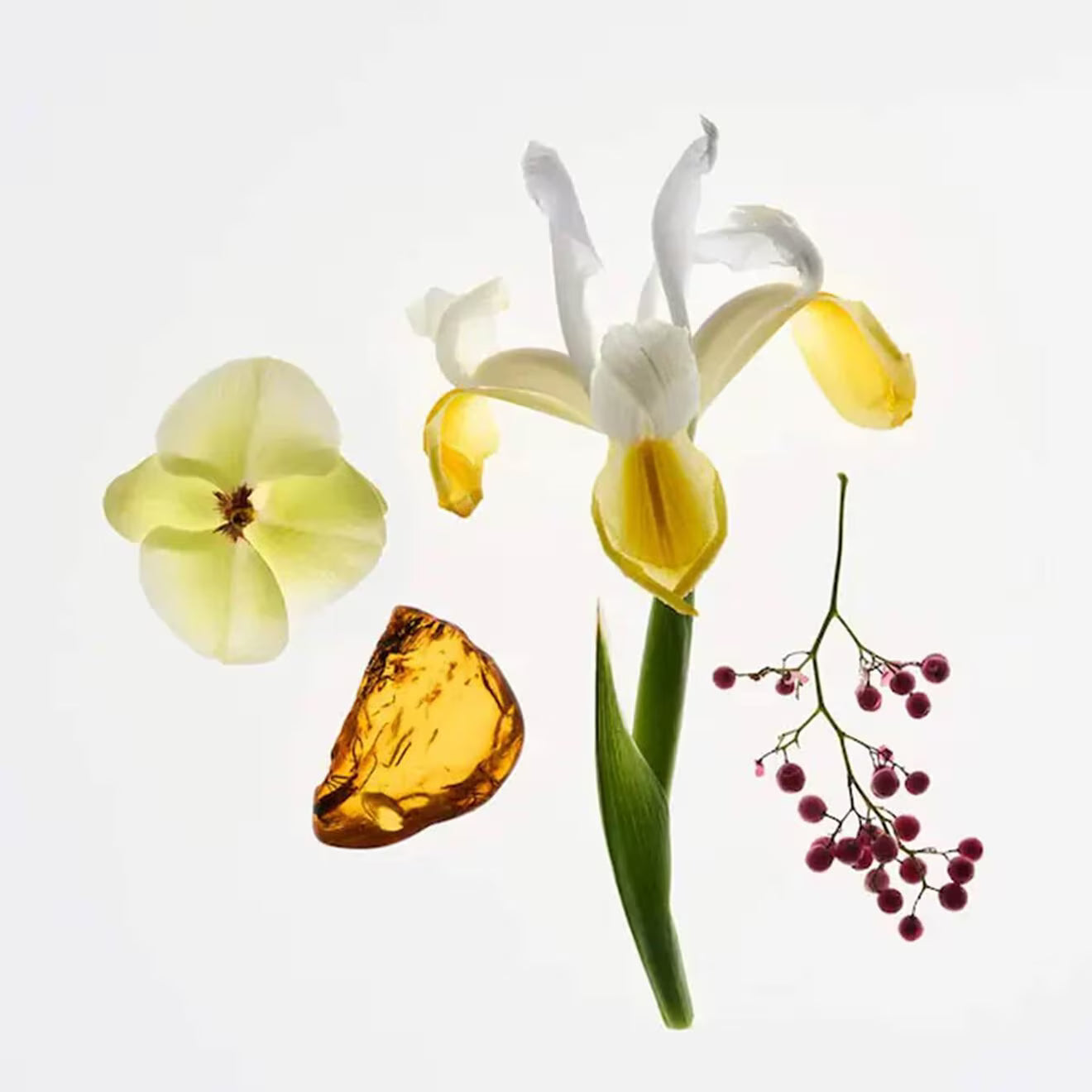 Crème De You Dry-Touch Body Butter