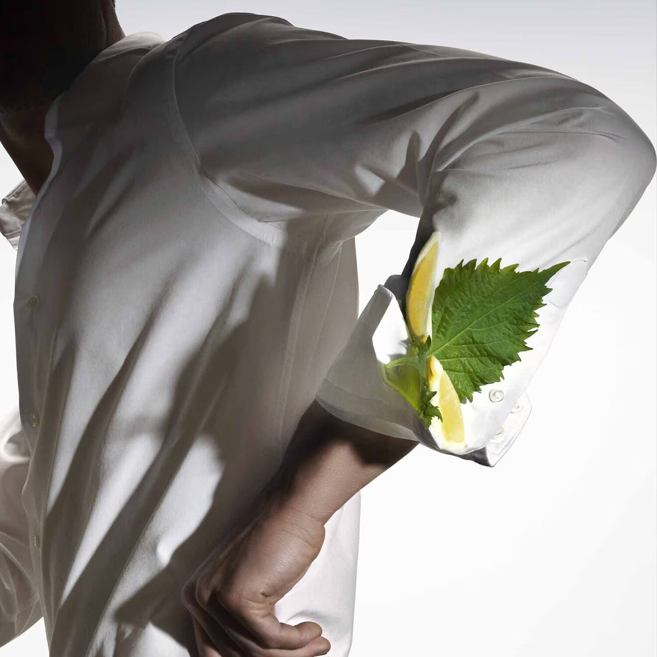 The Collection Vigorous Cologne - Eau de Parfum