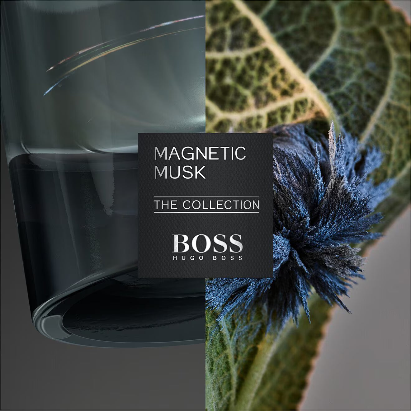 The Collection Magnetic Musk - Eau de Parfum