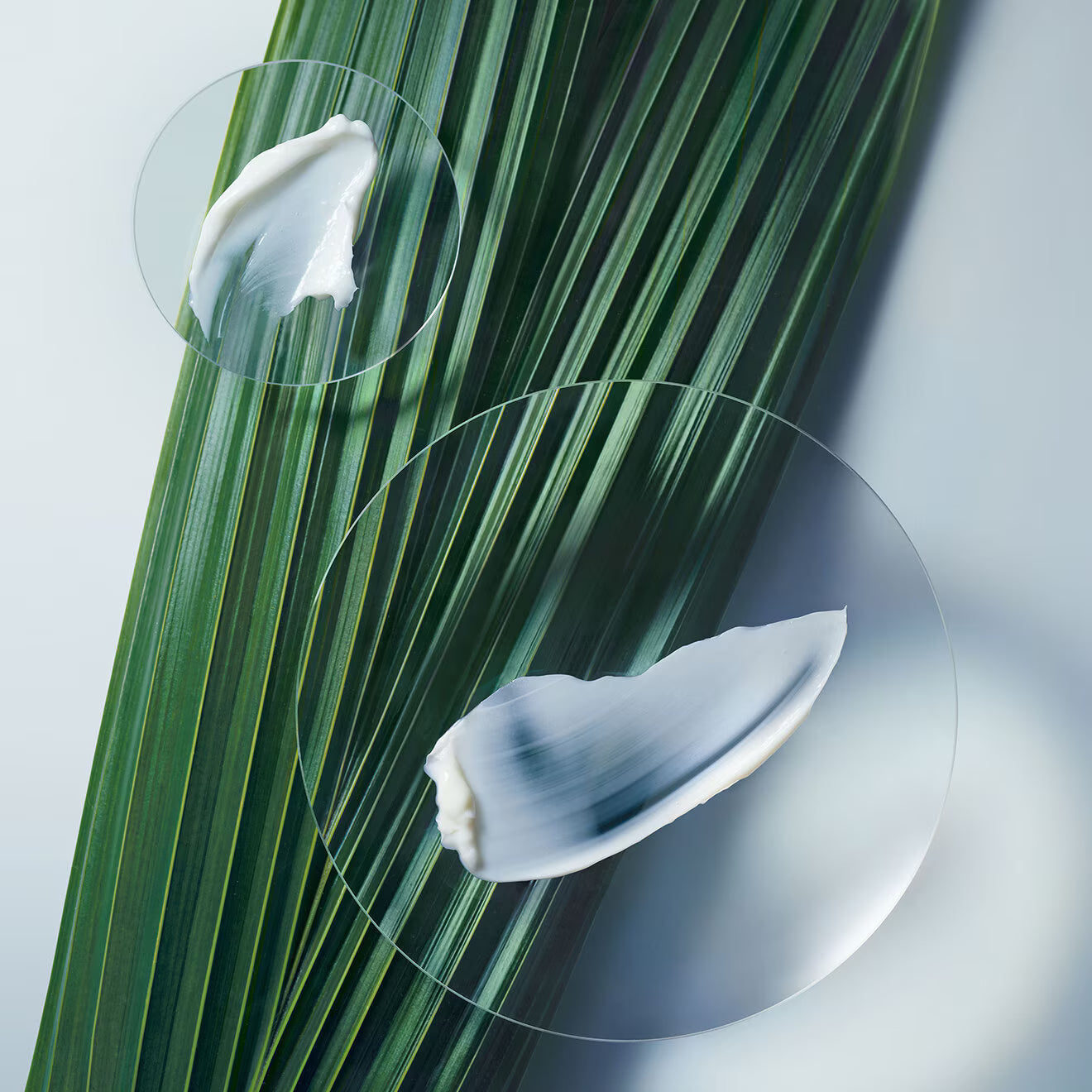 Botanical Repair Intensive Strengthening Masque- Light