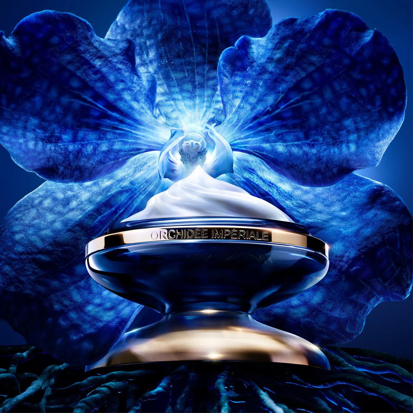 Orchidée Impériale The Longevity Light Cream