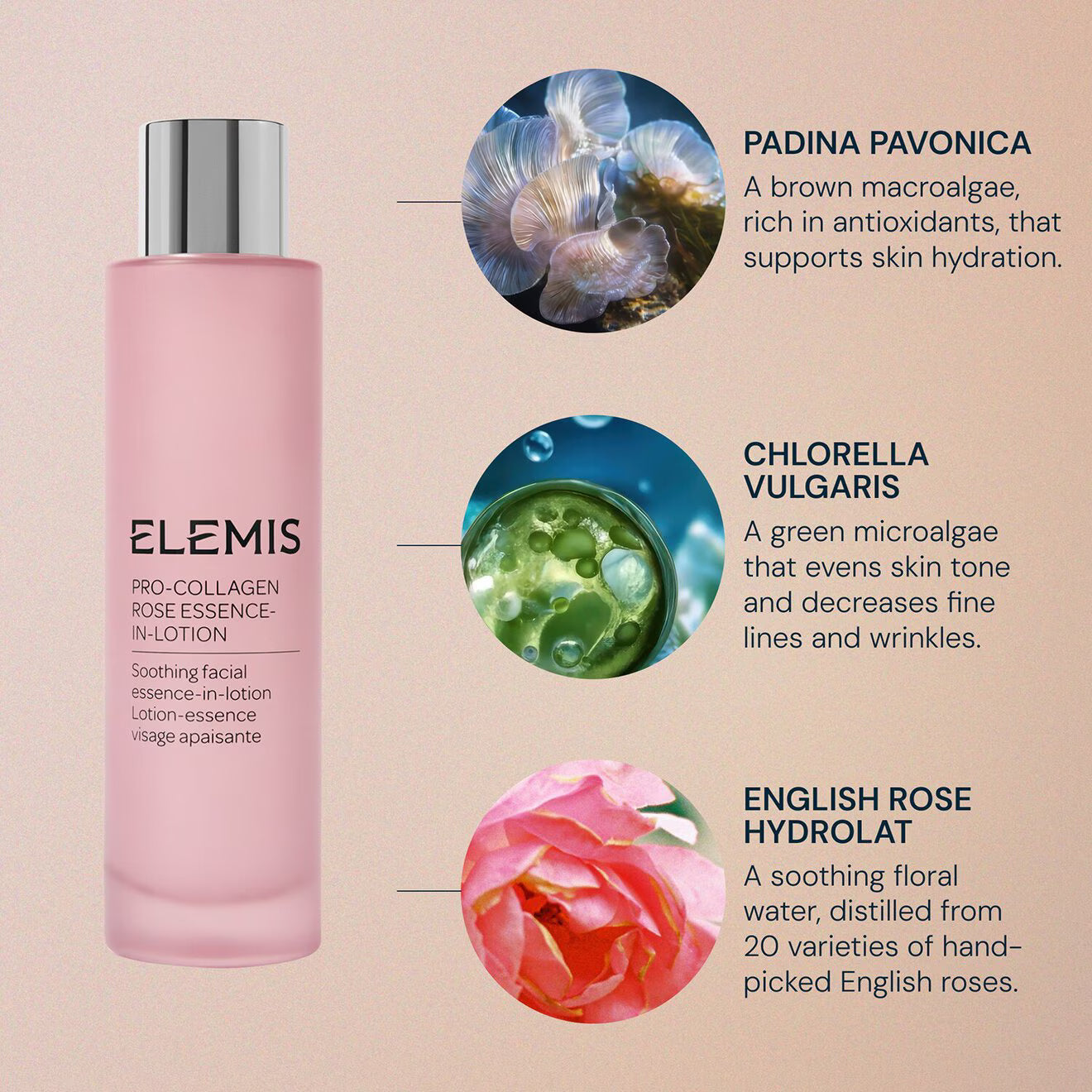 Pro-Collagen Rose Essence-in-Lotion