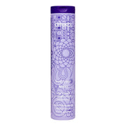 Bust Your Brass Blonde Purple Conditioner