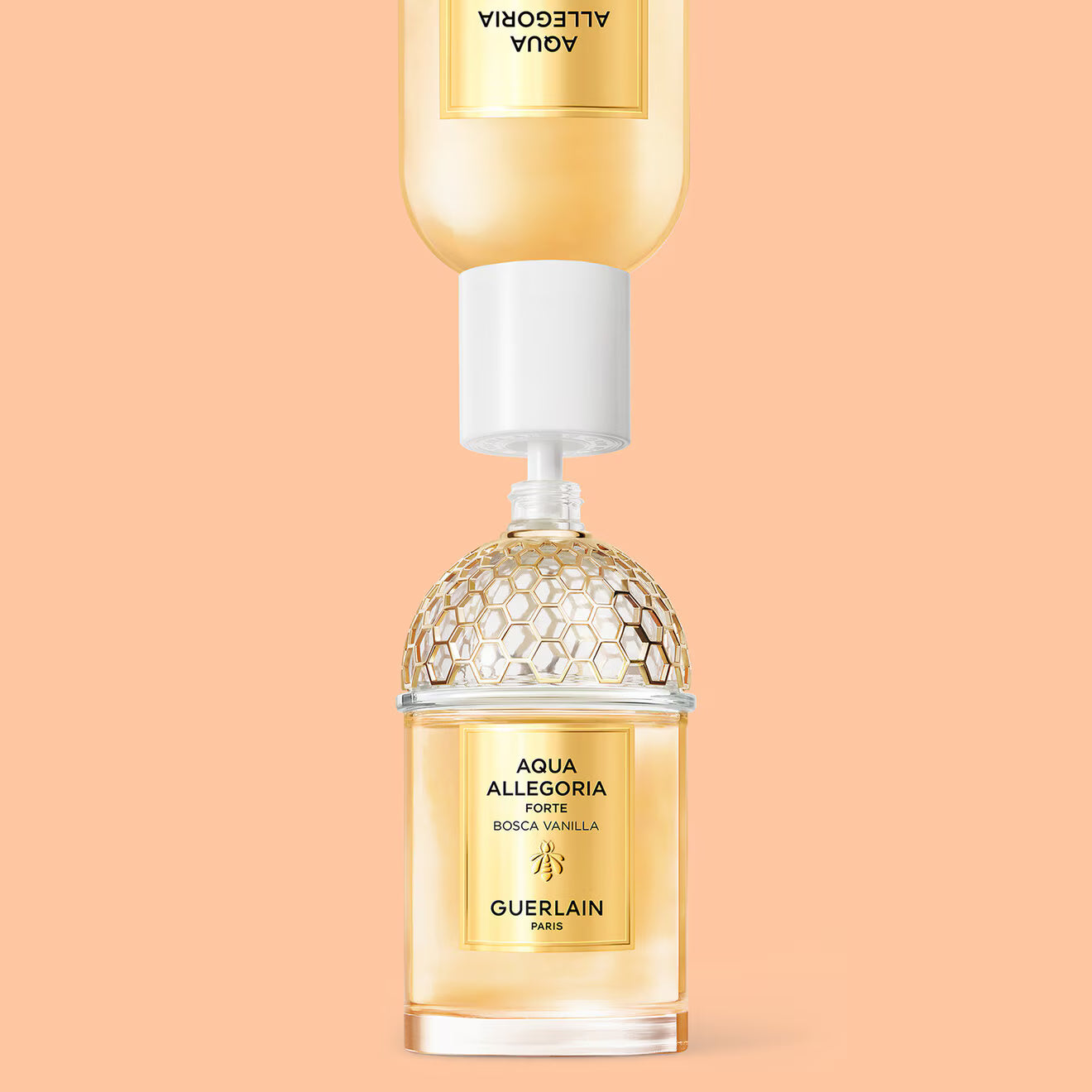 Aqua Allegoria Forte: Bosca Vanilla - Eau de Parfum