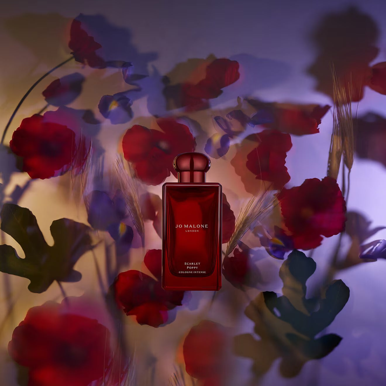 Scarlet Poppy Cologne Intense