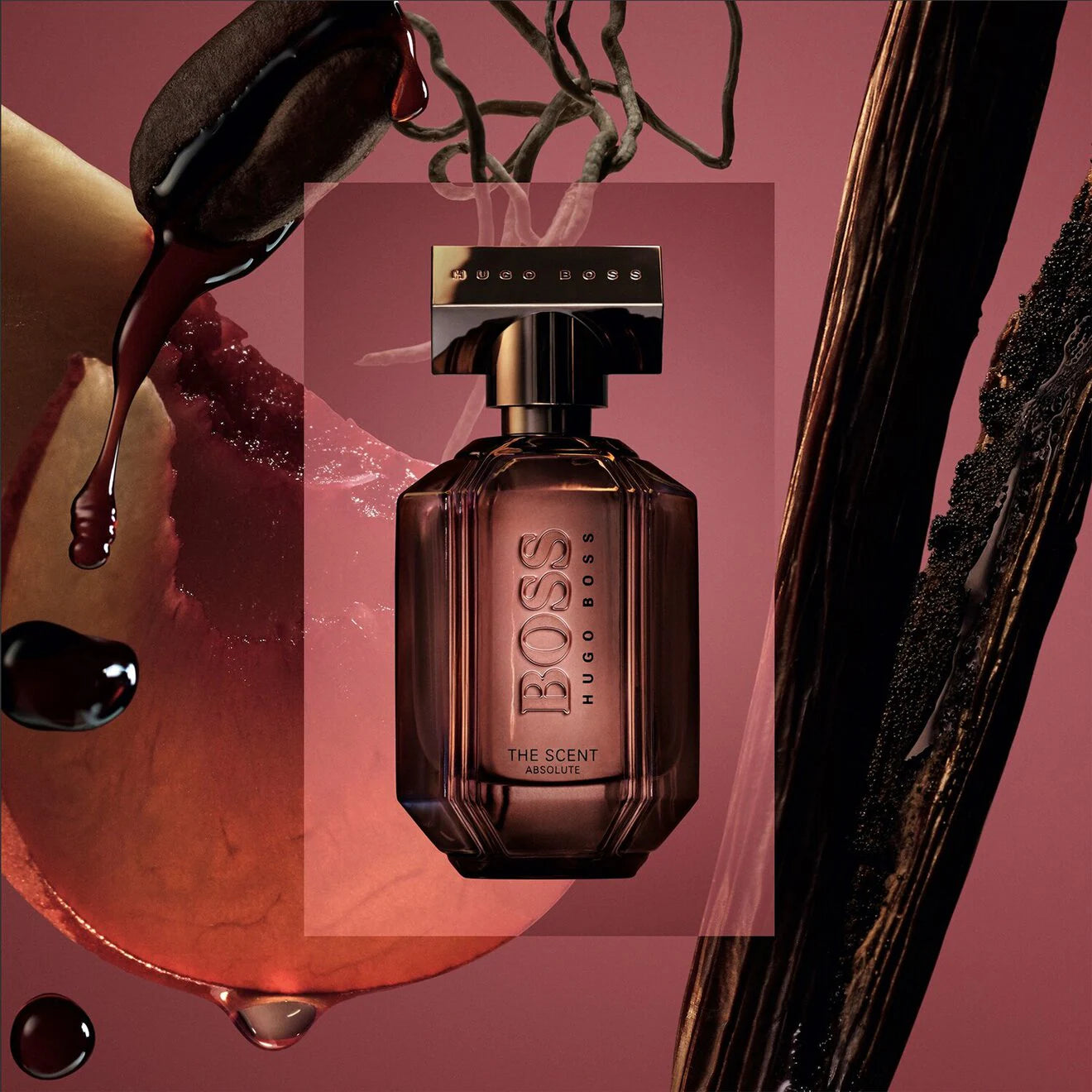 The Scent Absolute - Eau de Parfum