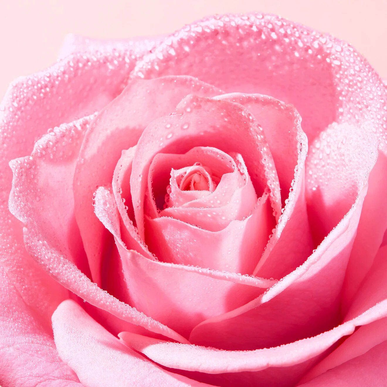 Very Rose Light Cleansing Foam