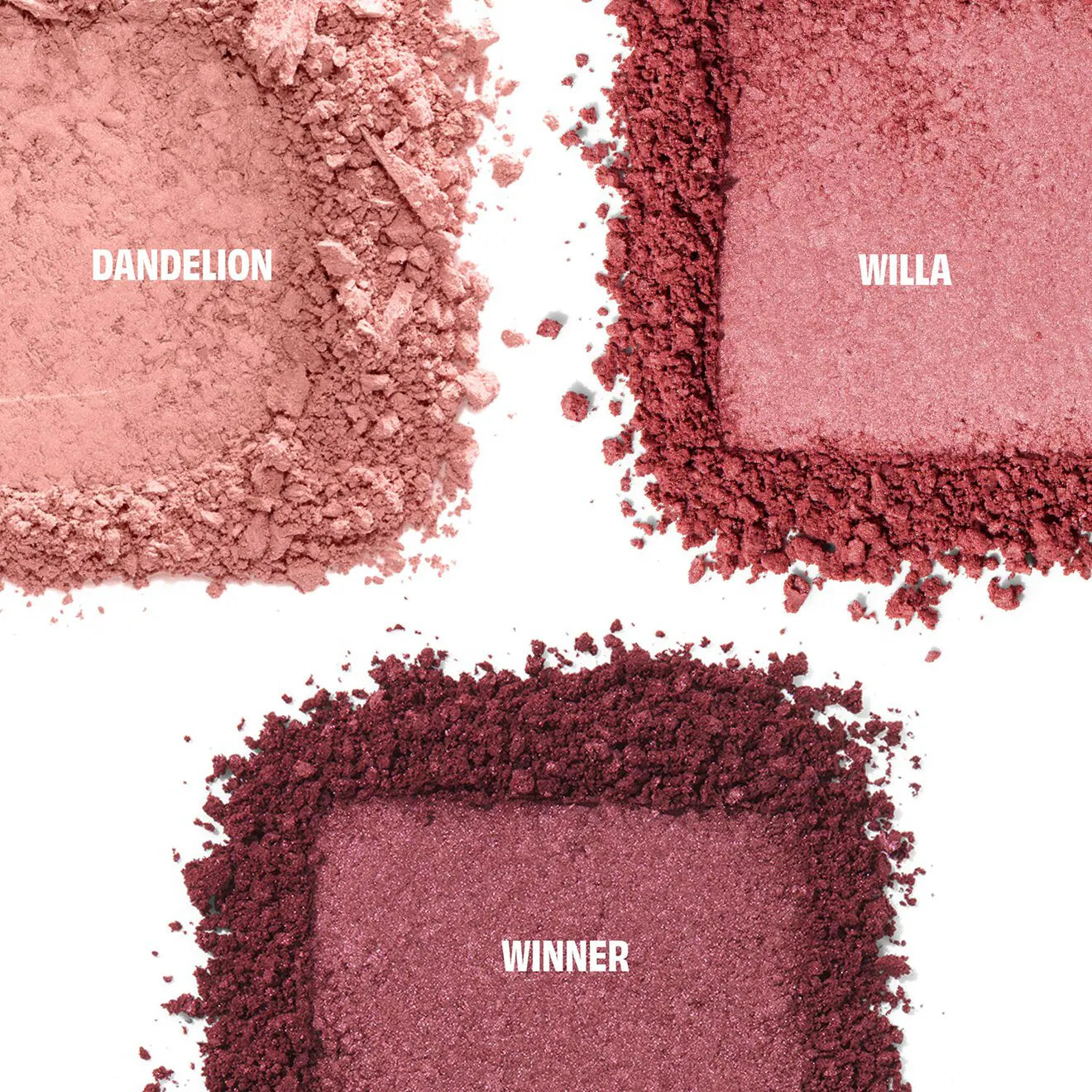 Cheek Score Palette