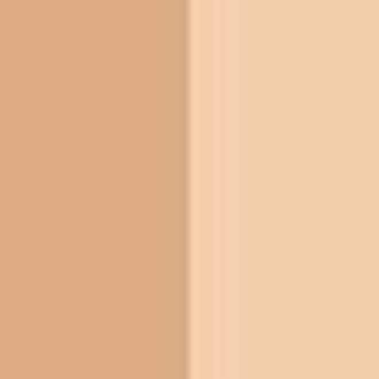 Born This Way Concealer Duo - Medium Skin Tone