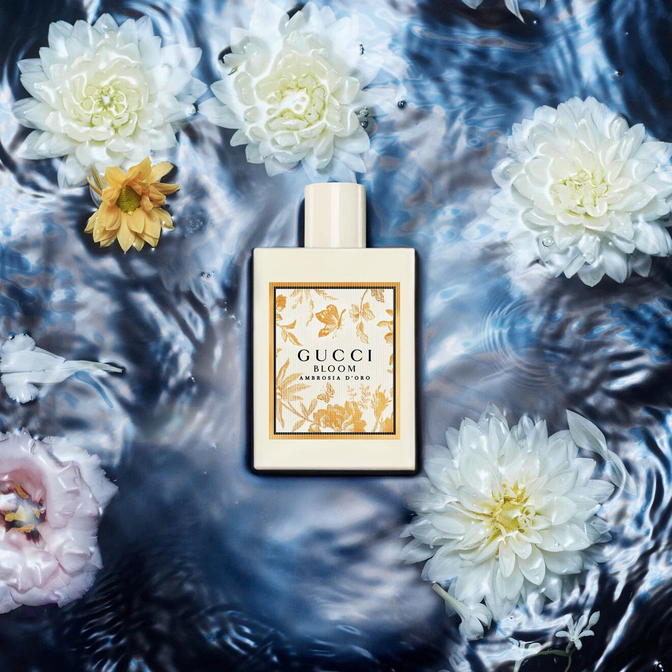 Bloom Ambrosia d'Oro - Eau de Parfum for Women