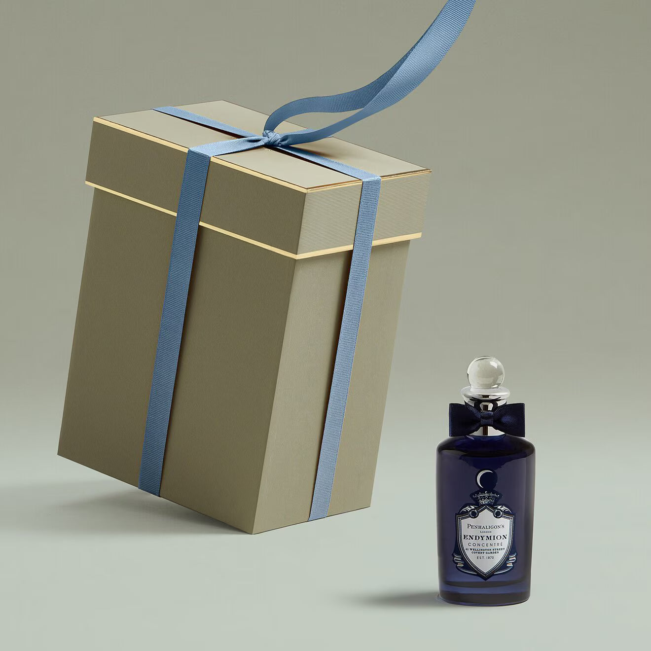 ENDYMION CONCENTR EDP