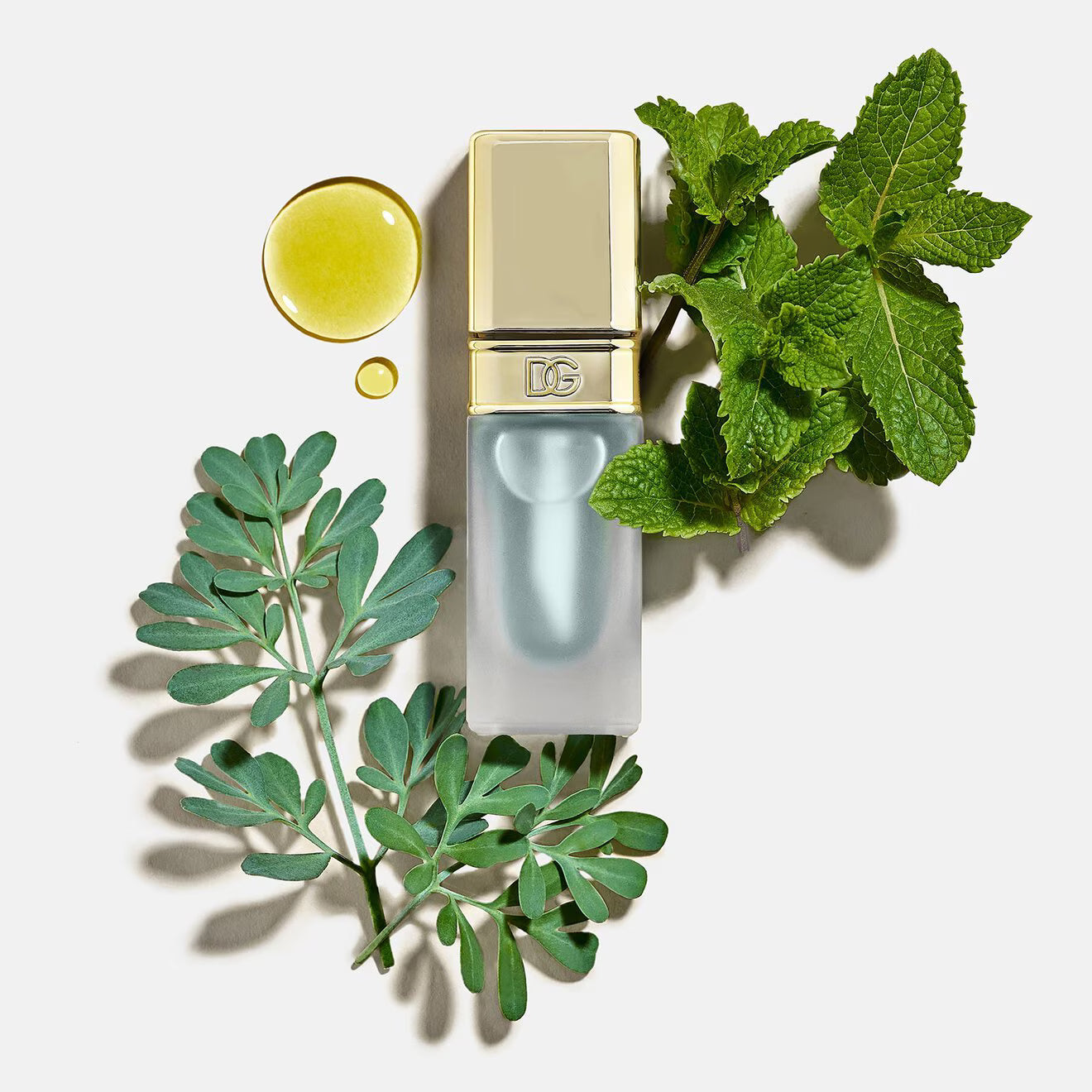 Oil Lip Plumper