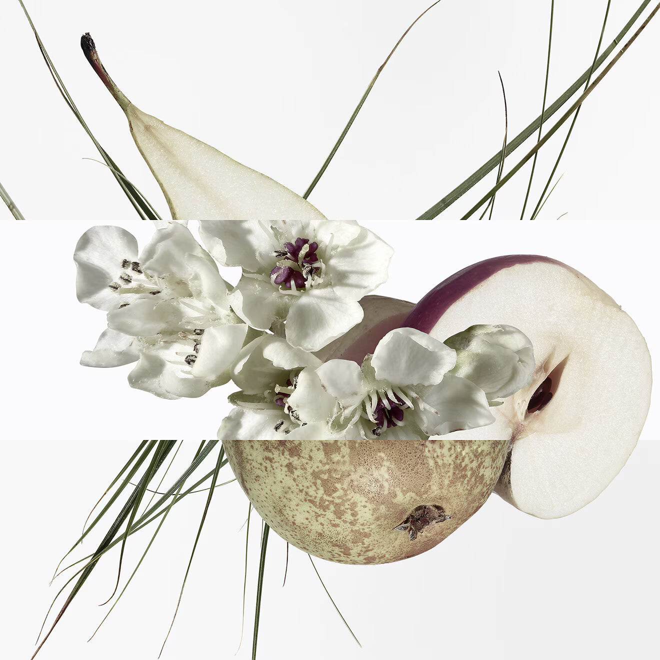 Un Jardin sur le Toit Eau de toilette