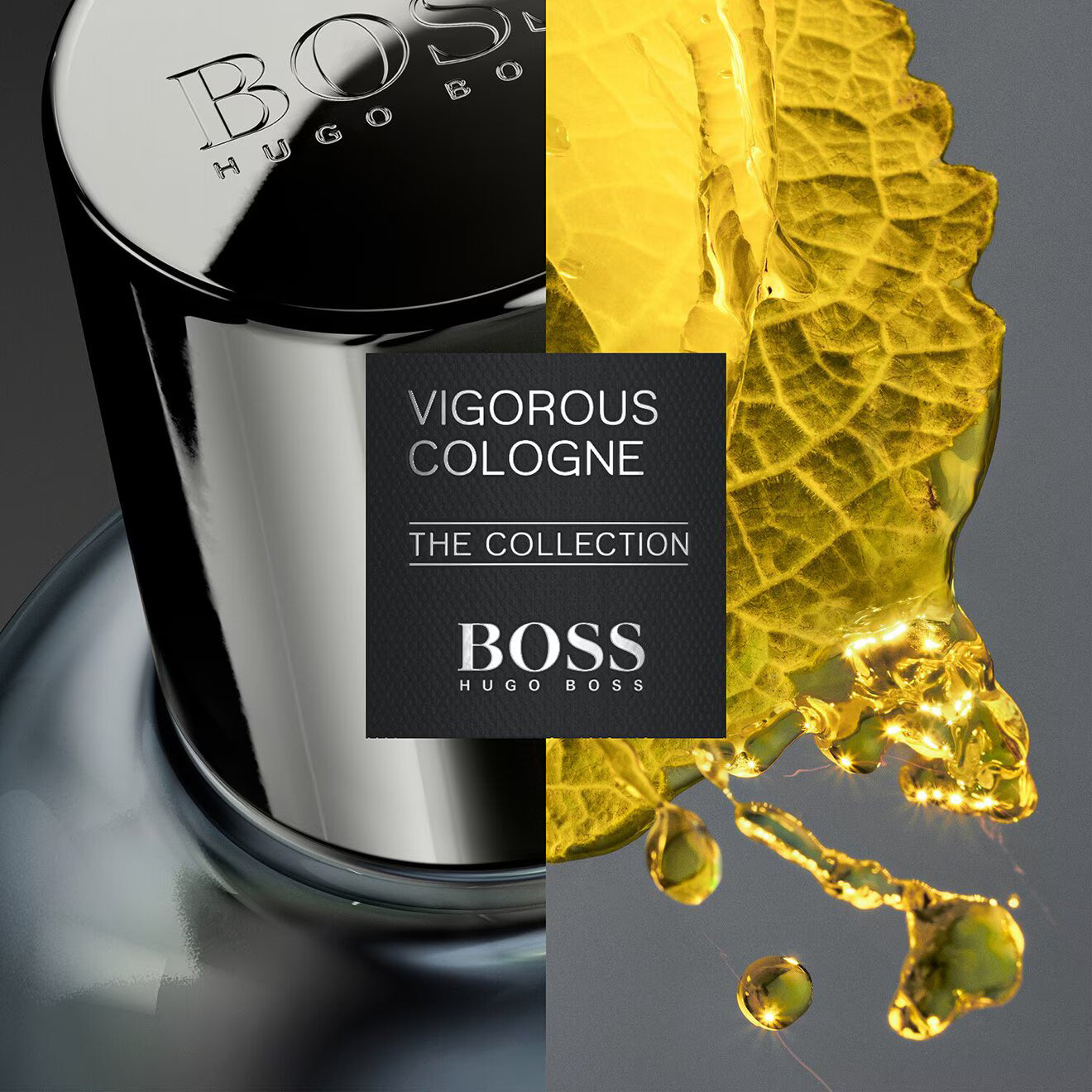 The Collection Vigorous Cologne - Eau de Parfum
