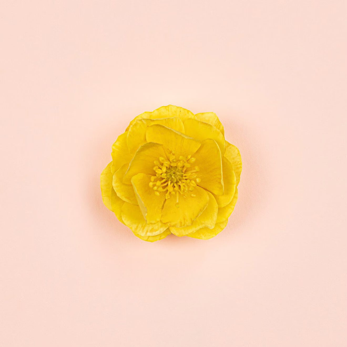 Bloom Ambrosia d'Oro - Eau de Parfum for Women