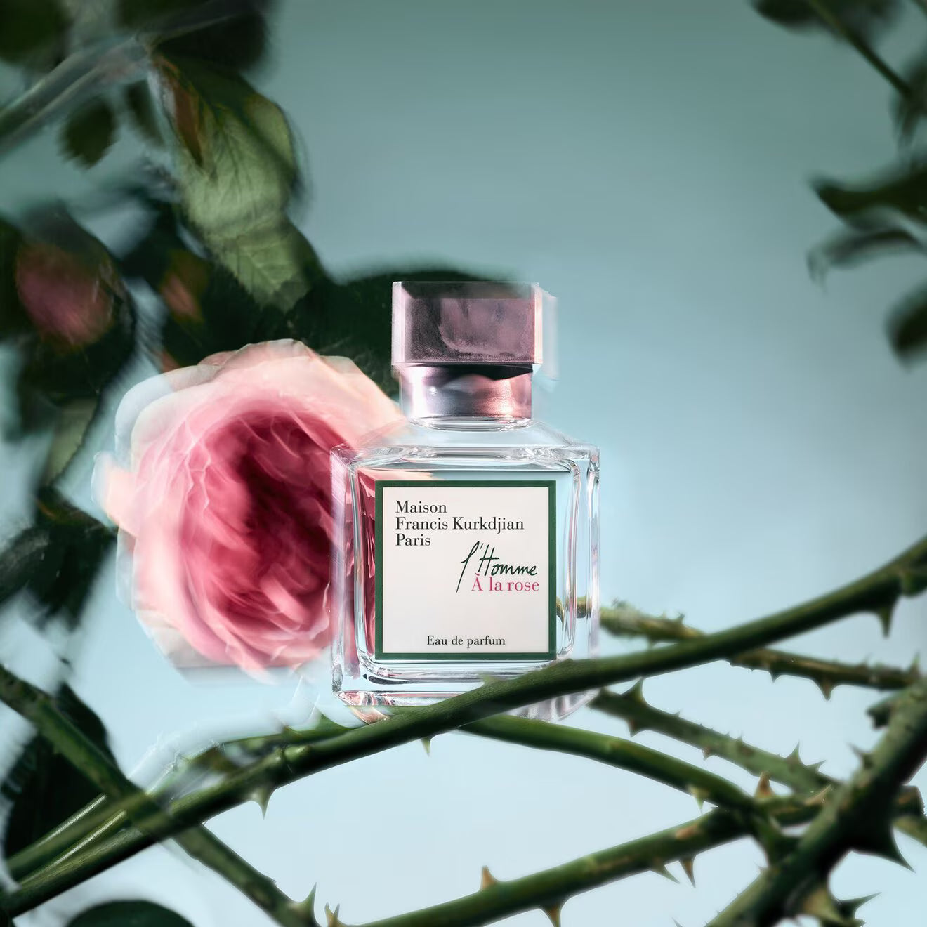 l'Homme À la rose - Eau de Parfum