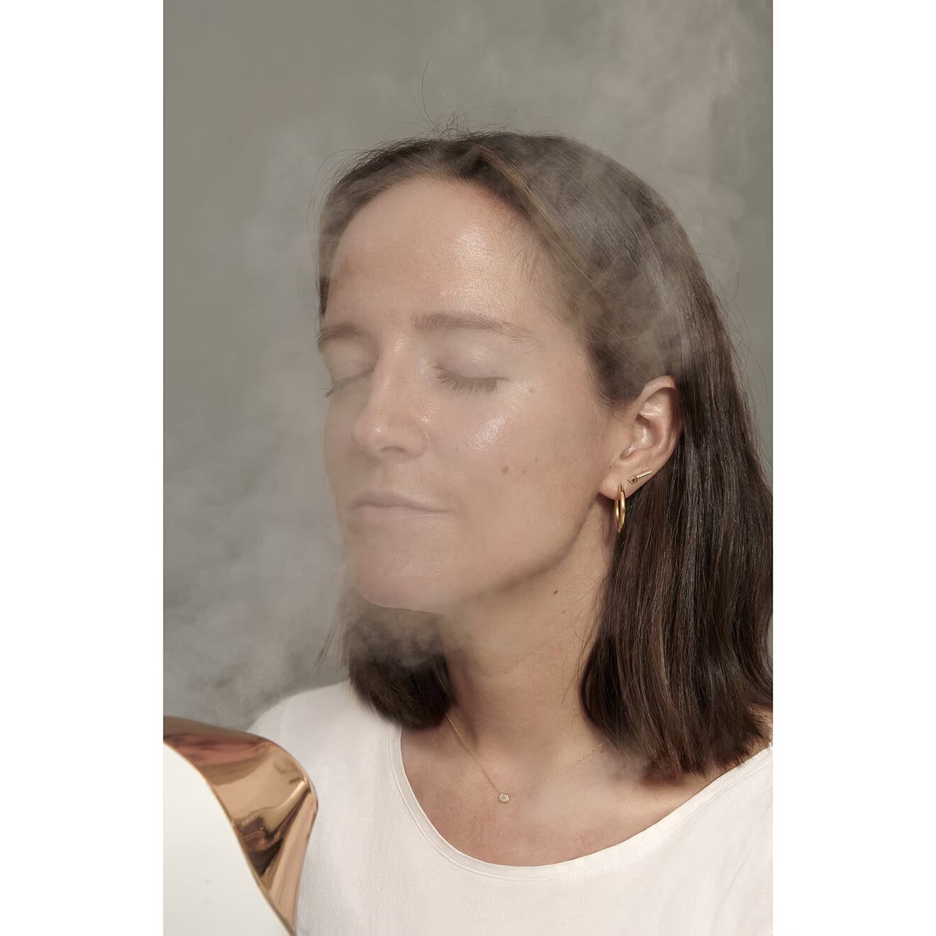 Pro Facial Steamer