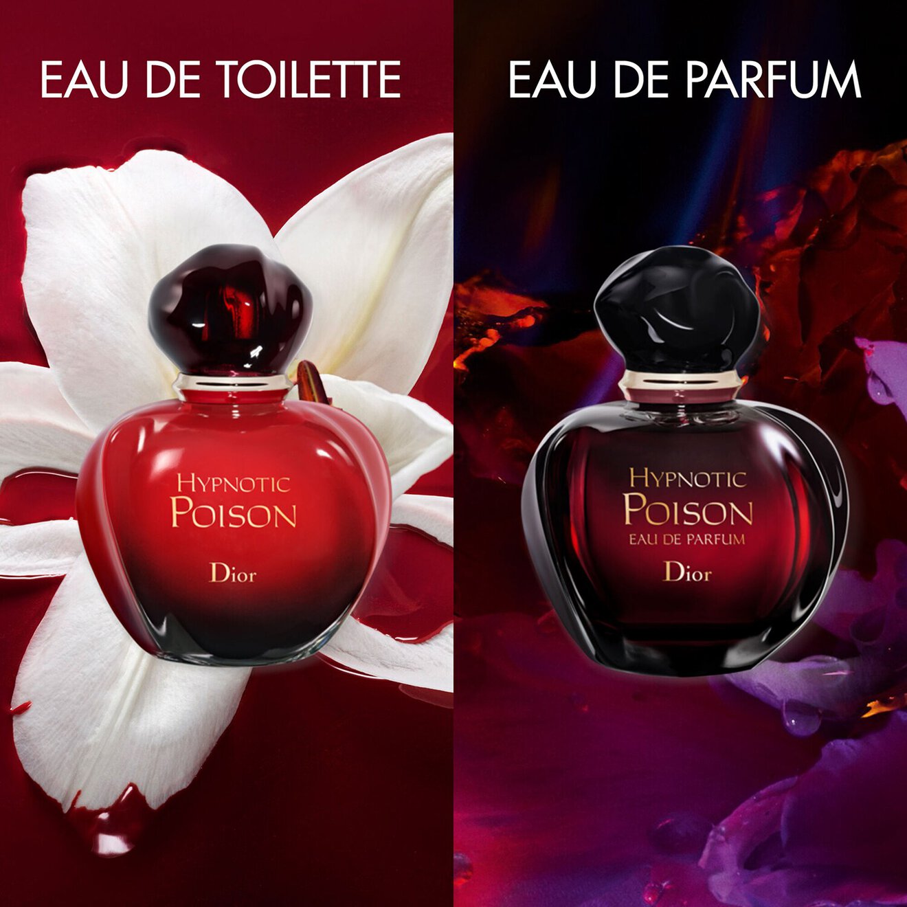 Hypnotic Poison Eau de Parfum