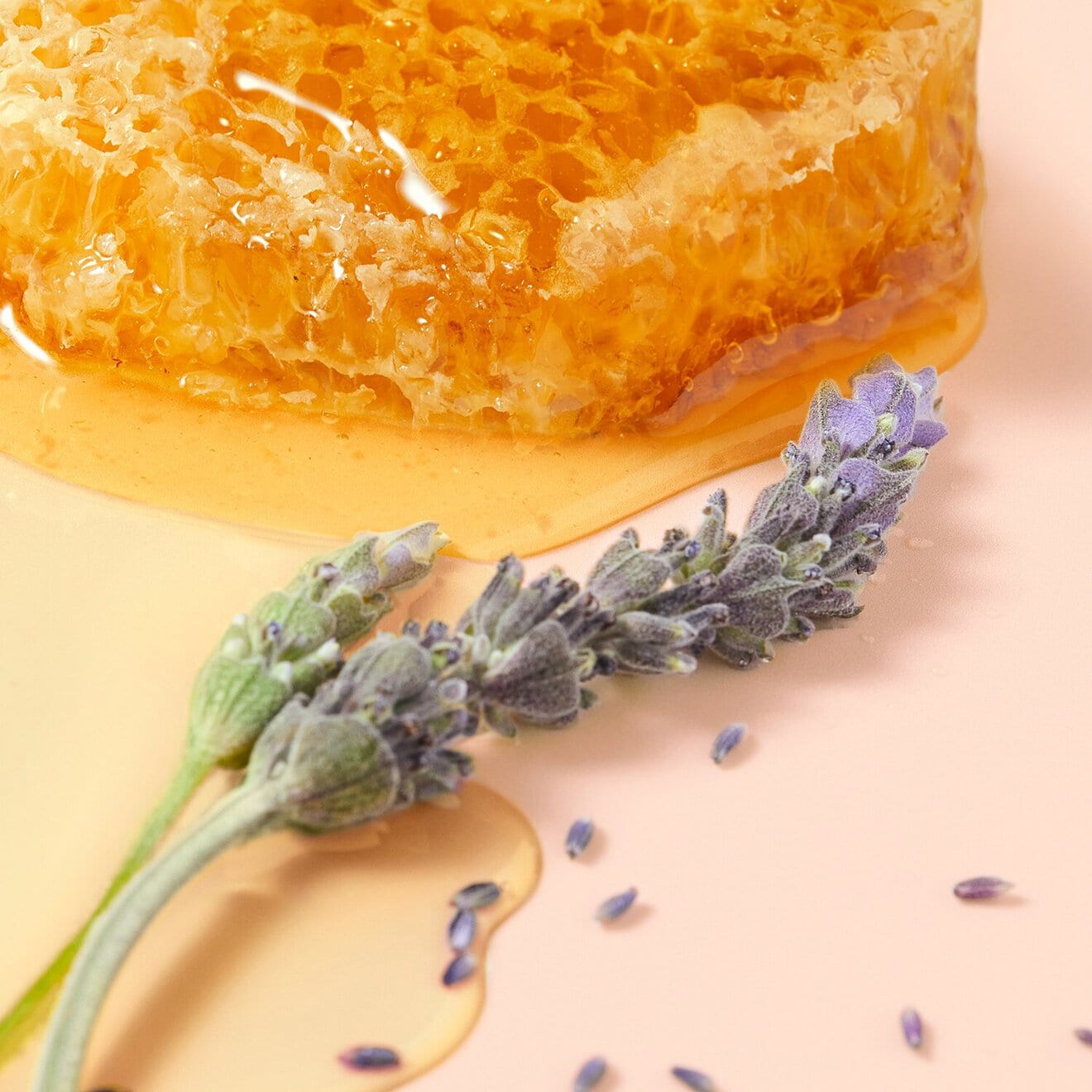 Rêve de Miel® Honey Lip Care
