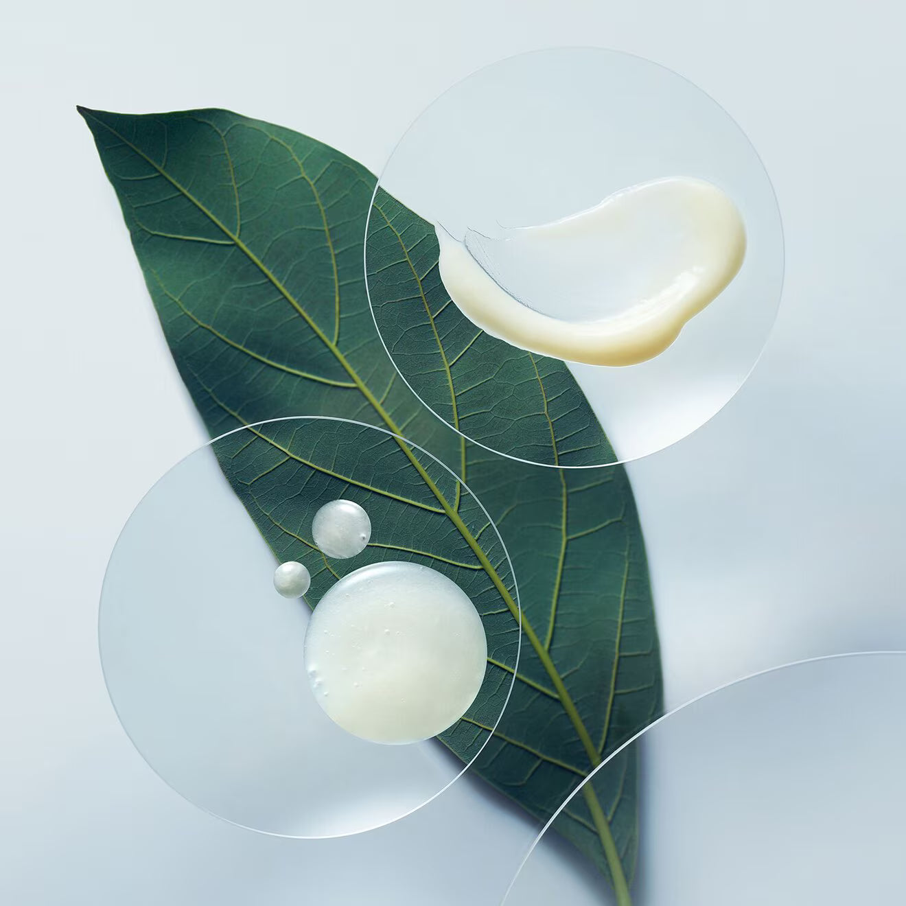 Botanical Repair Strengthening Shampoo