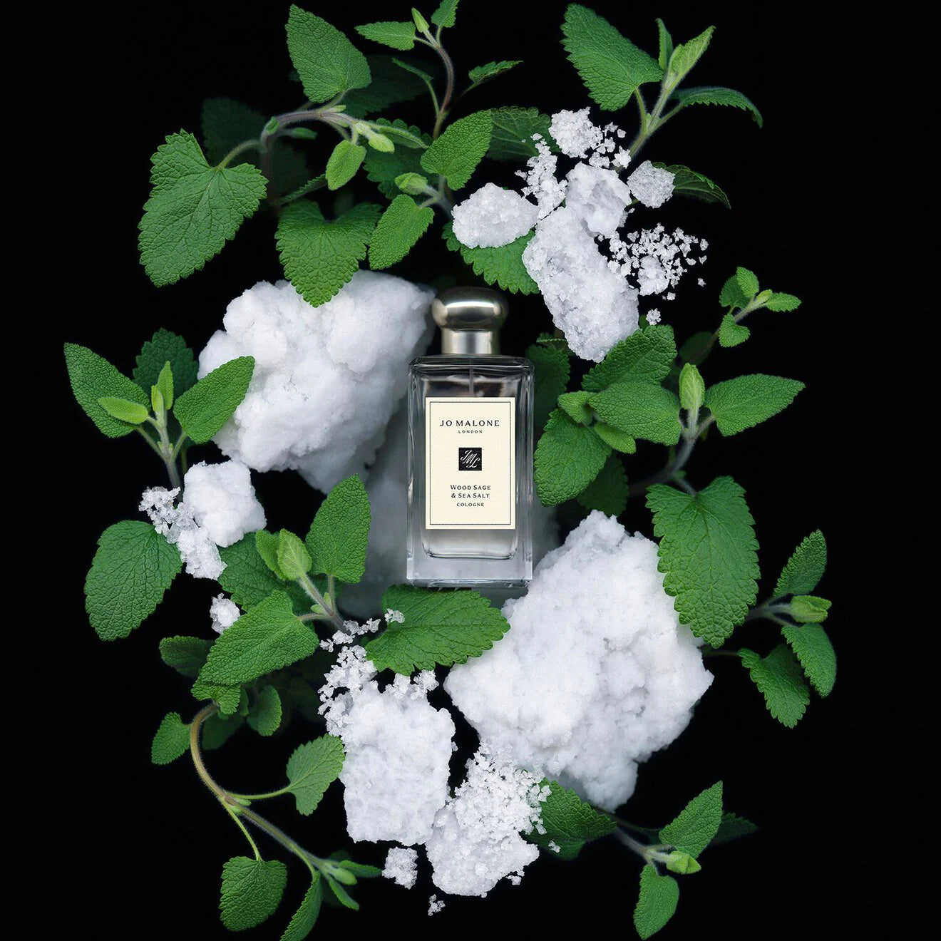 WoodSage & SeaSalt Cologne