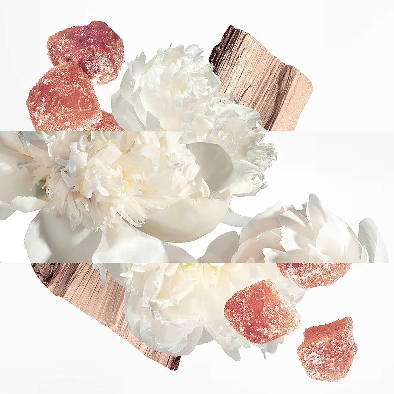Twilly Eau Ginger Eau de Parfum