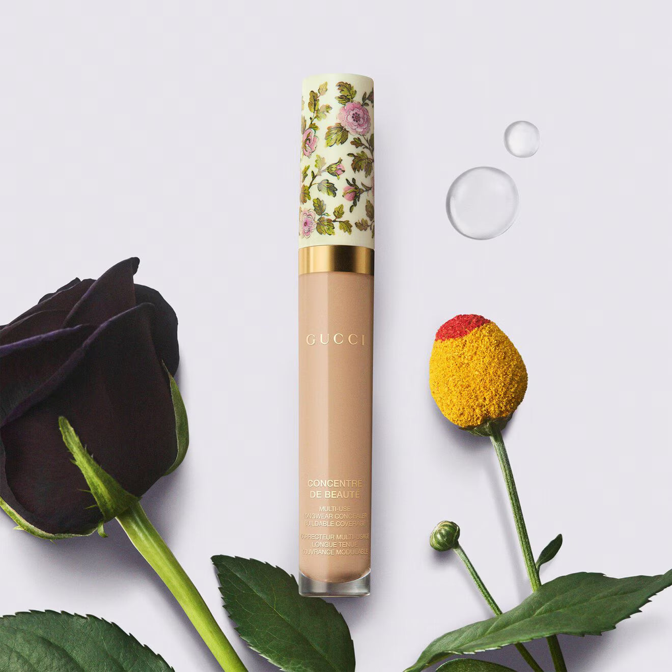 Concentré de Beauté - Concealer