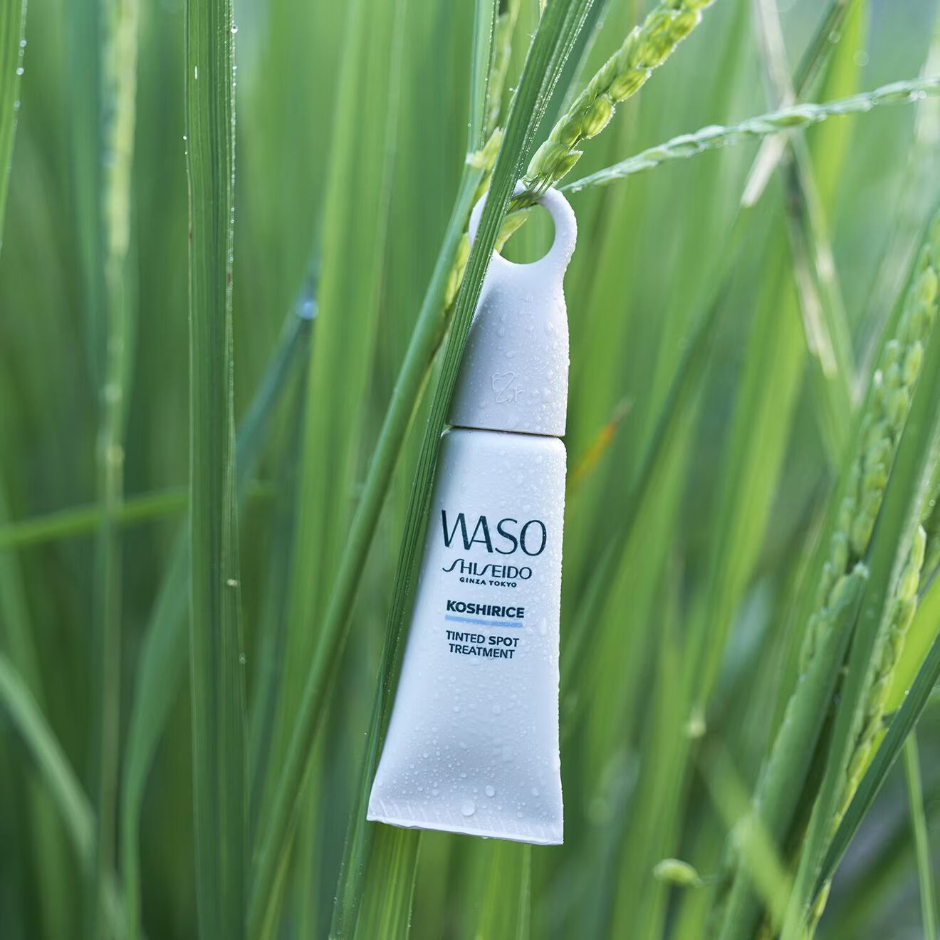 SHISEIDO WASO KOSHIRICE TINTED SPOT TREATMENT