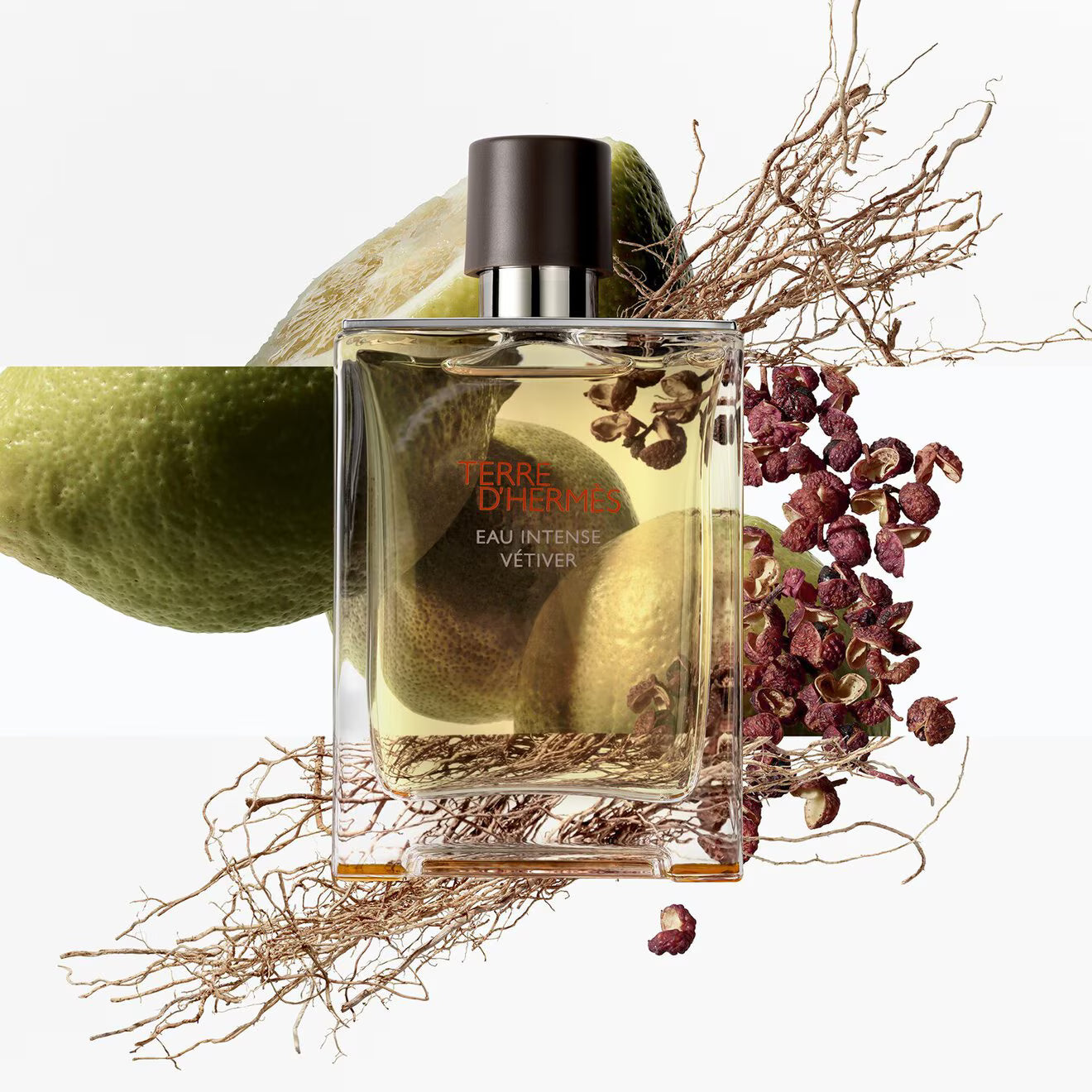 Terre d'Hermès Eau Intense Vétiver Eau de parfum