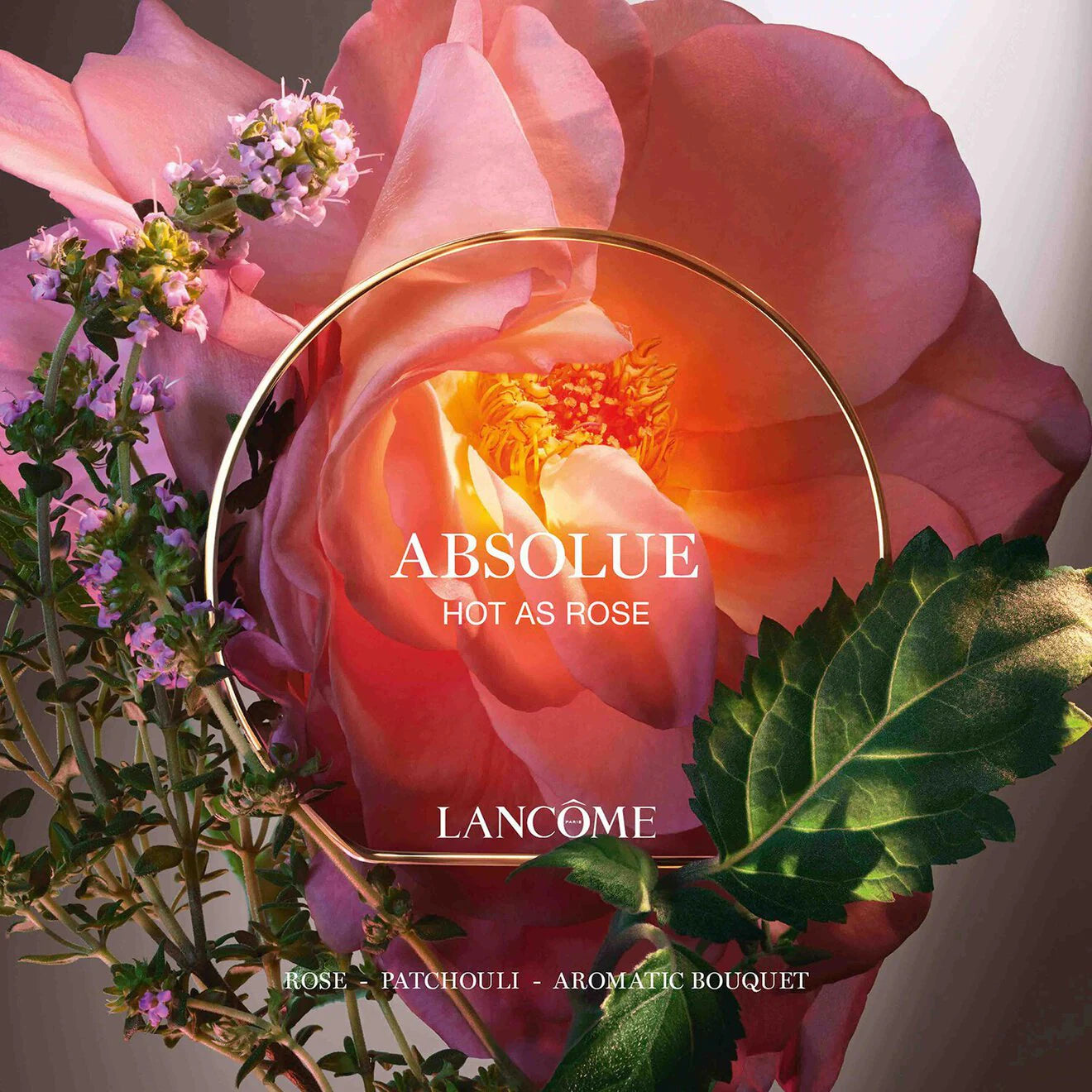 Absolue Les Parfum Hot as Rose