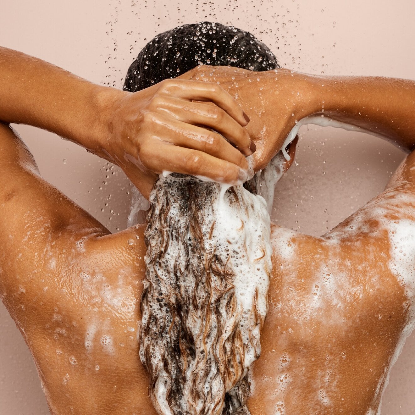 The Rich One Moisture Repair Shampoo