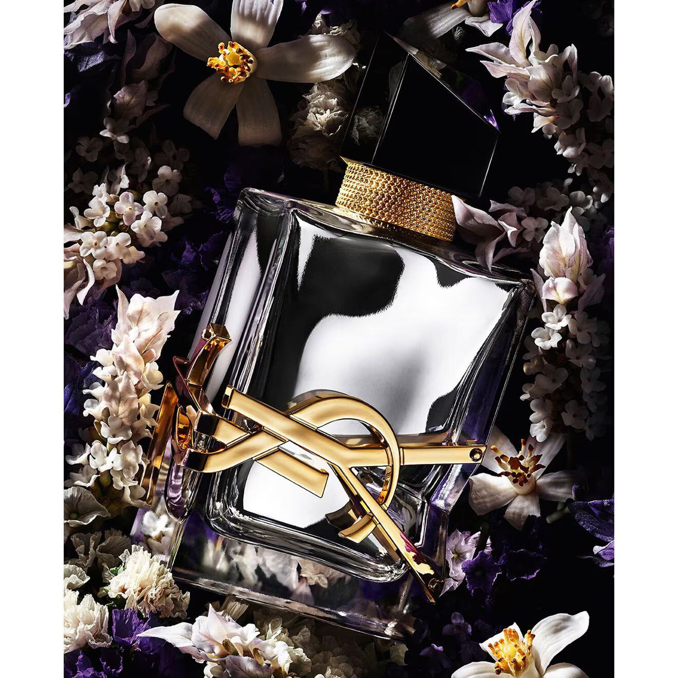 Libre L'Absolu Platine - Absolu de Parfum