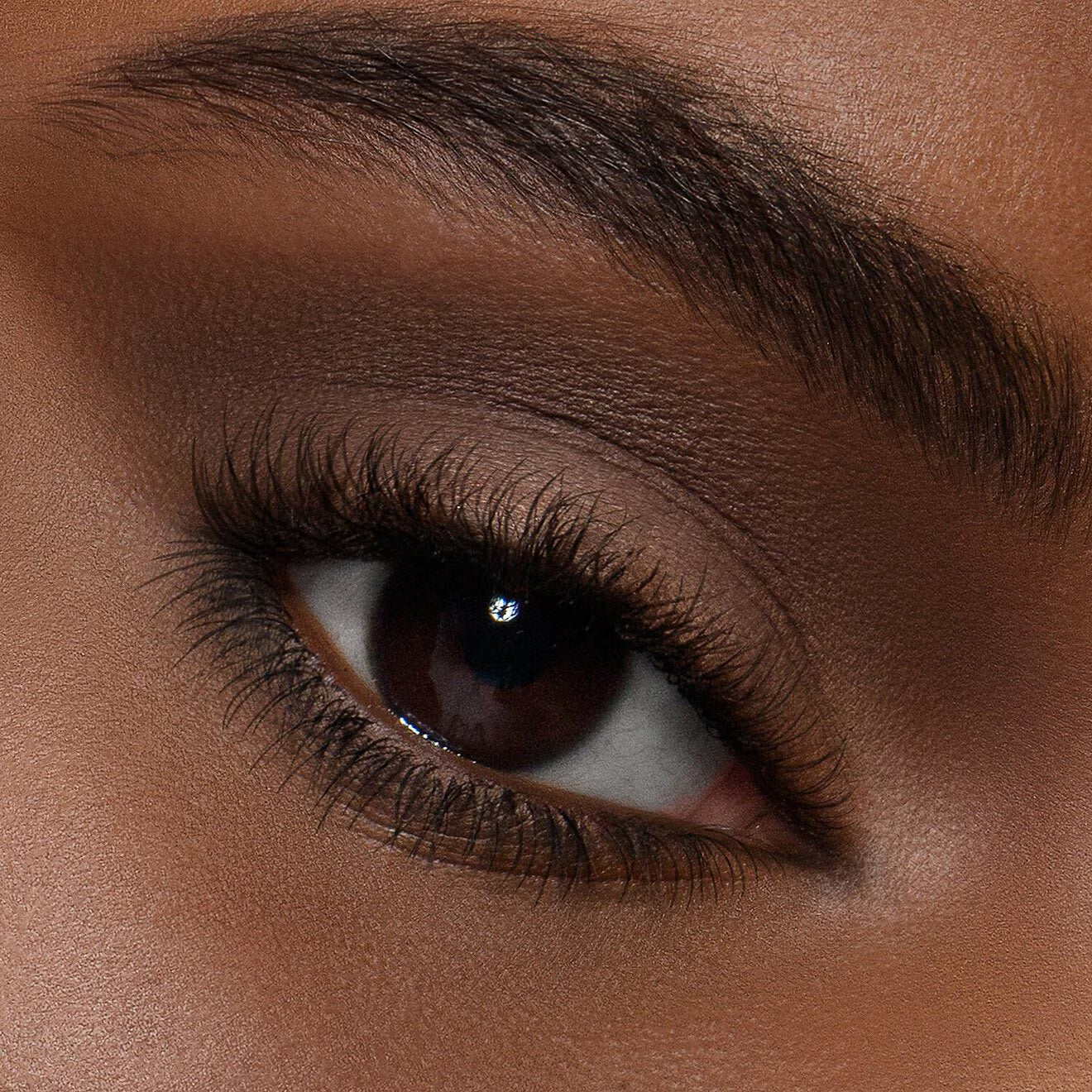 Master Mattes Palette