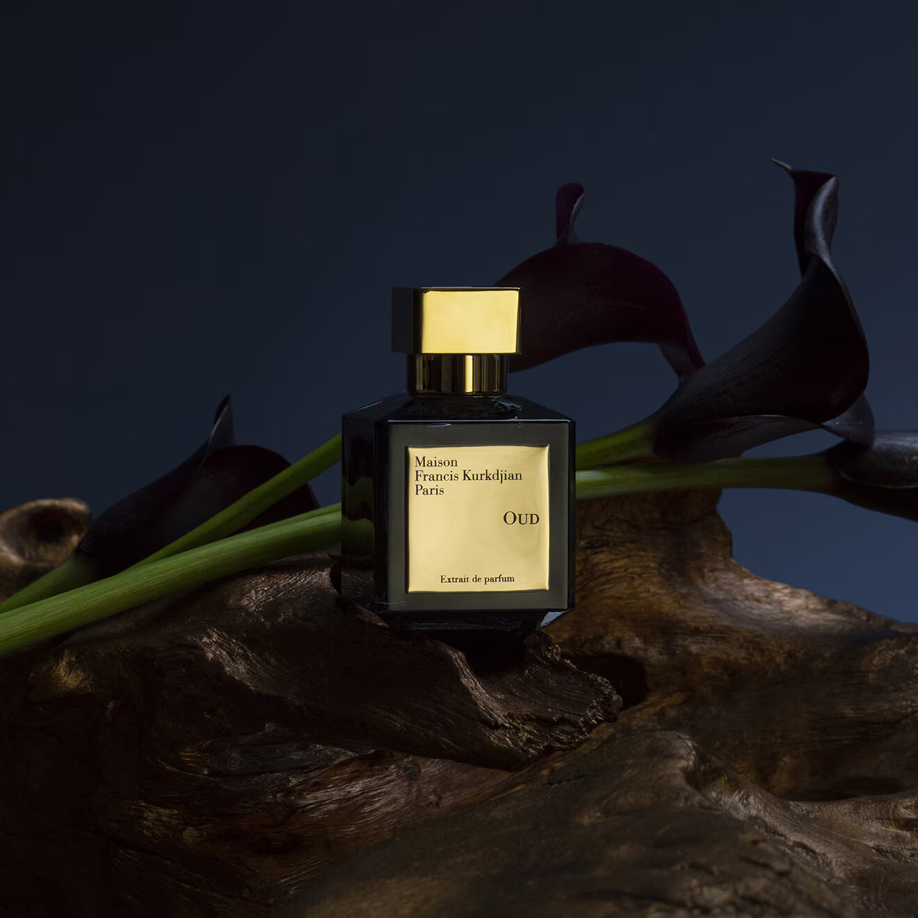 OUD - Extrait de Parfum