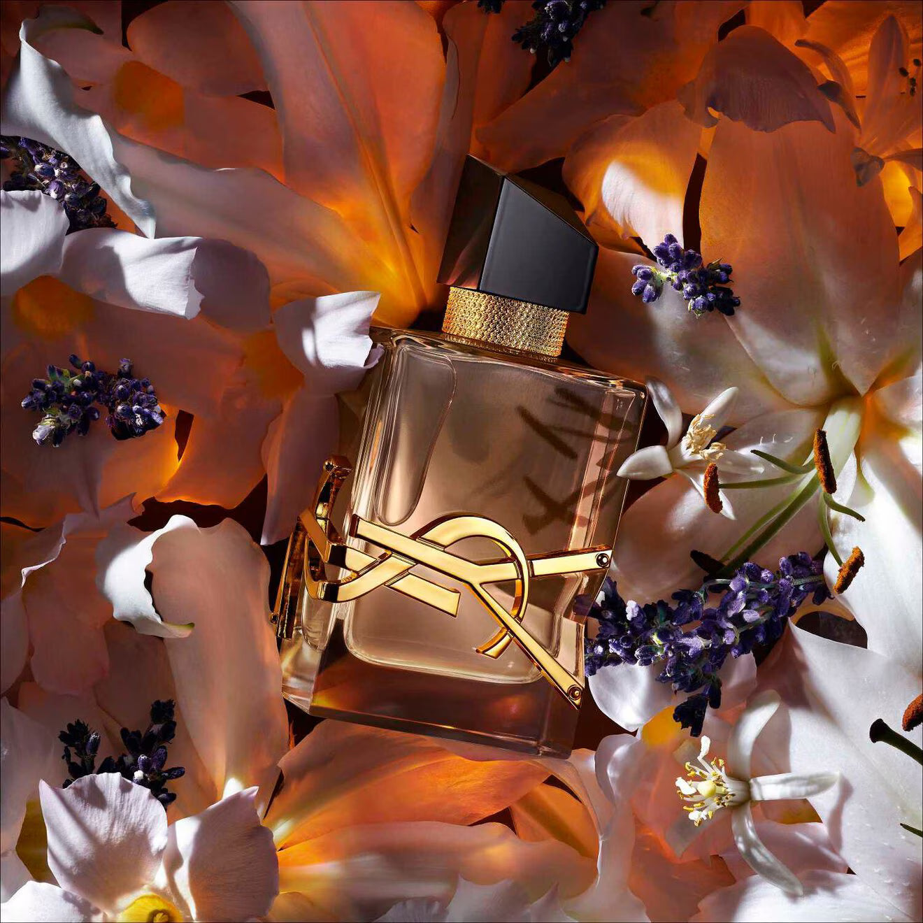 Libre Flowers & Flames - Eau de Parfum Florale