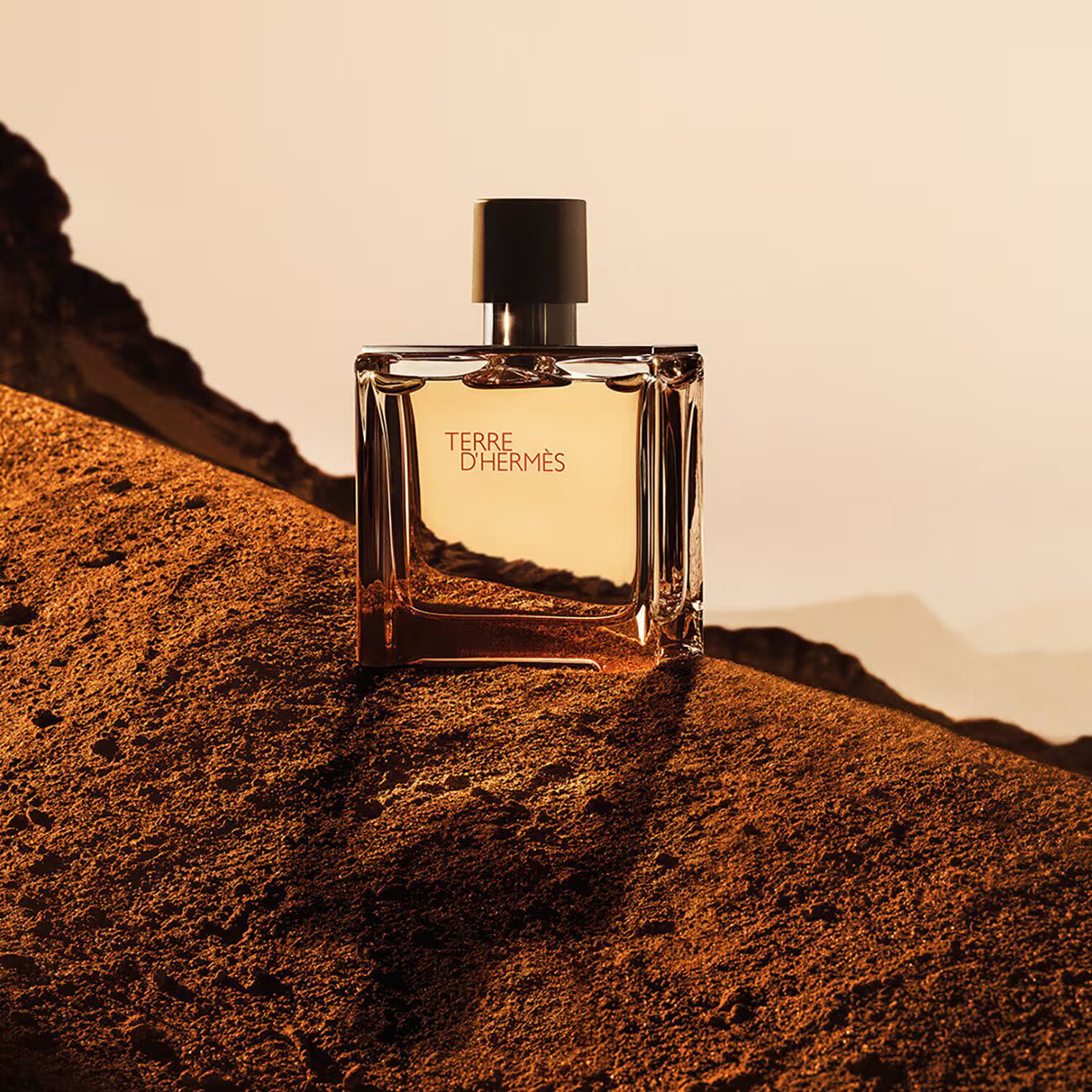 Terre d'Hermès Parfum refill