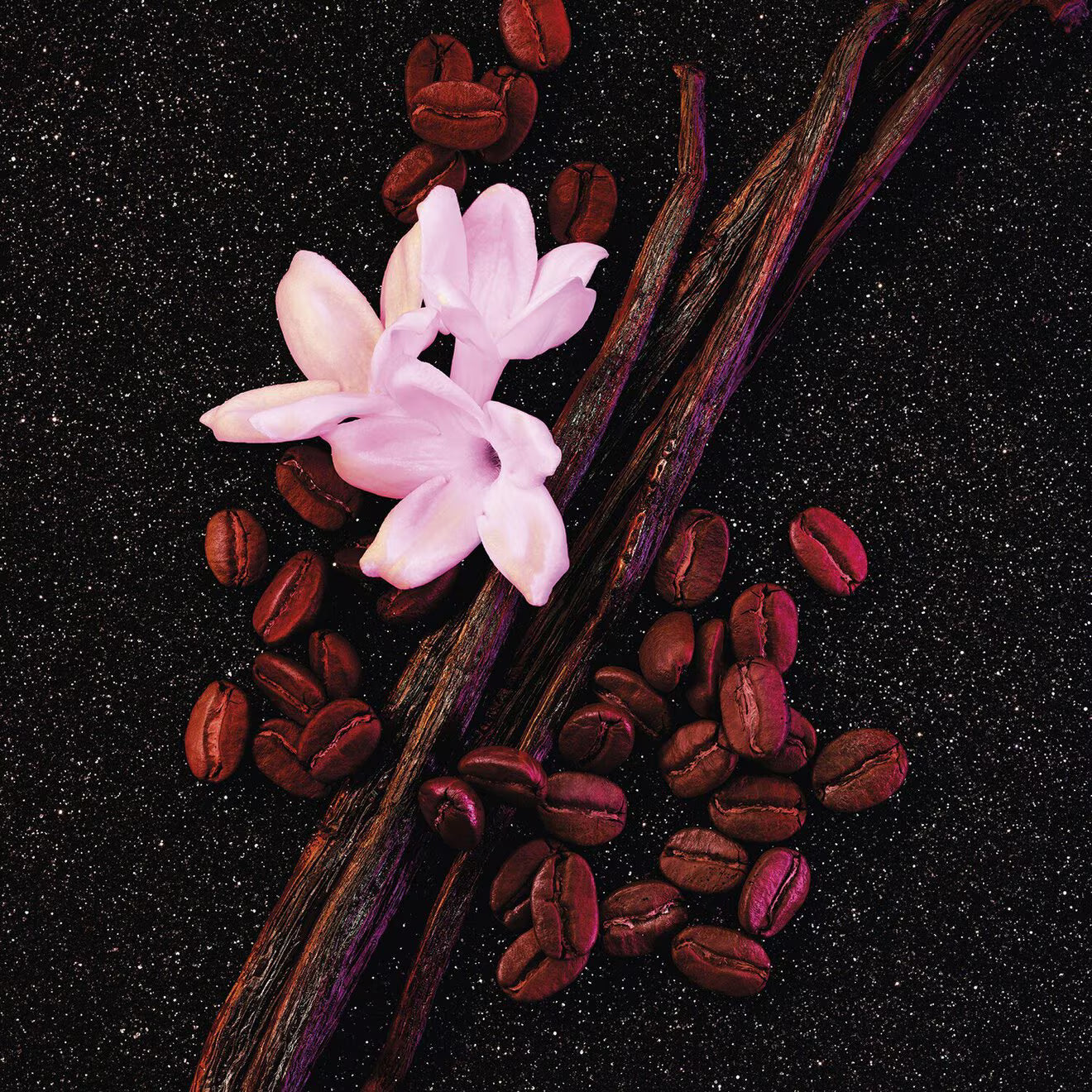 Black Opium- Eau de Parfum