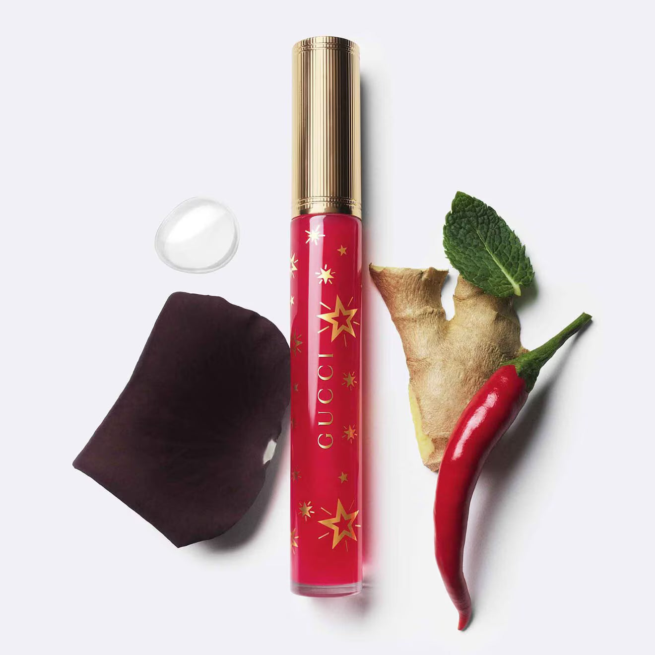 Gloss à Lèvres - Plumping Lip Gloss